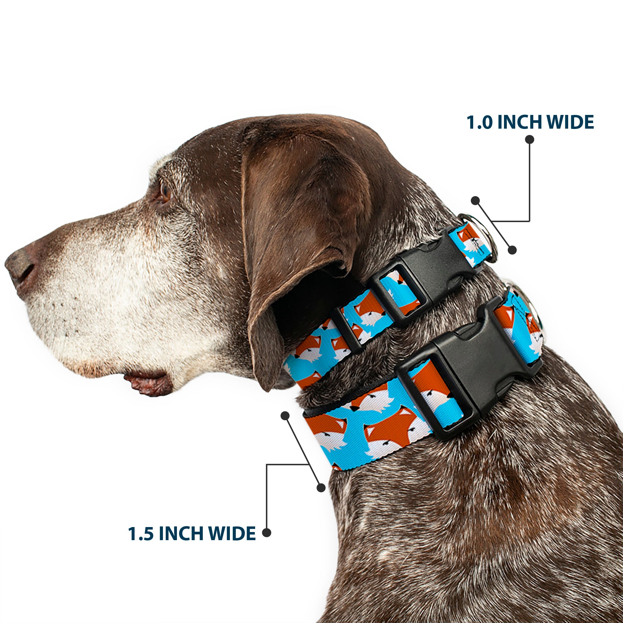 Plastic Clip Collar - Fox Face Scattered Sky Blue Plastic Clip Collars Buckle-Down