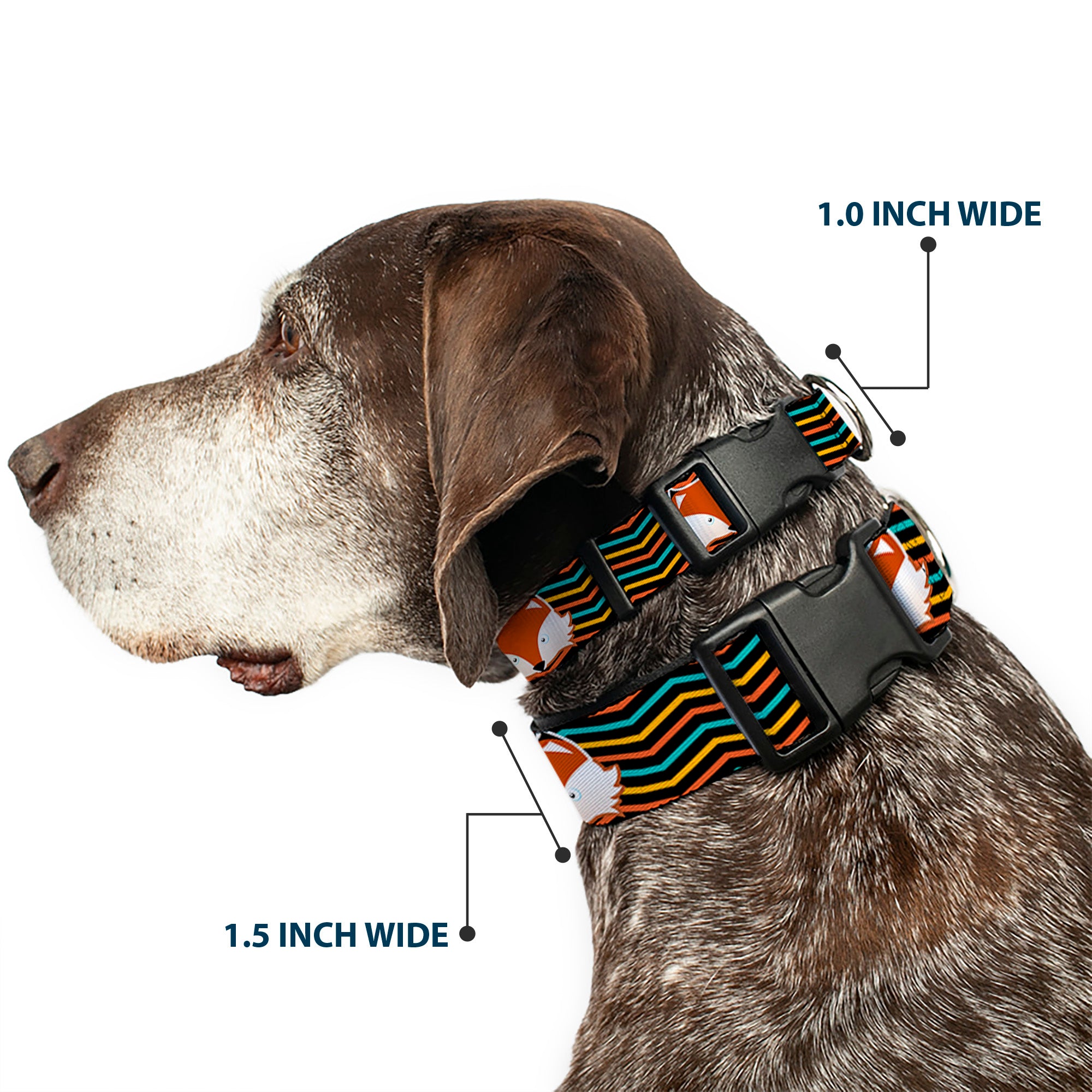 Plastic Clip Collar - Fox Face/Stripes Black/Multi Color Plastic Clip Collars Buckle-Down