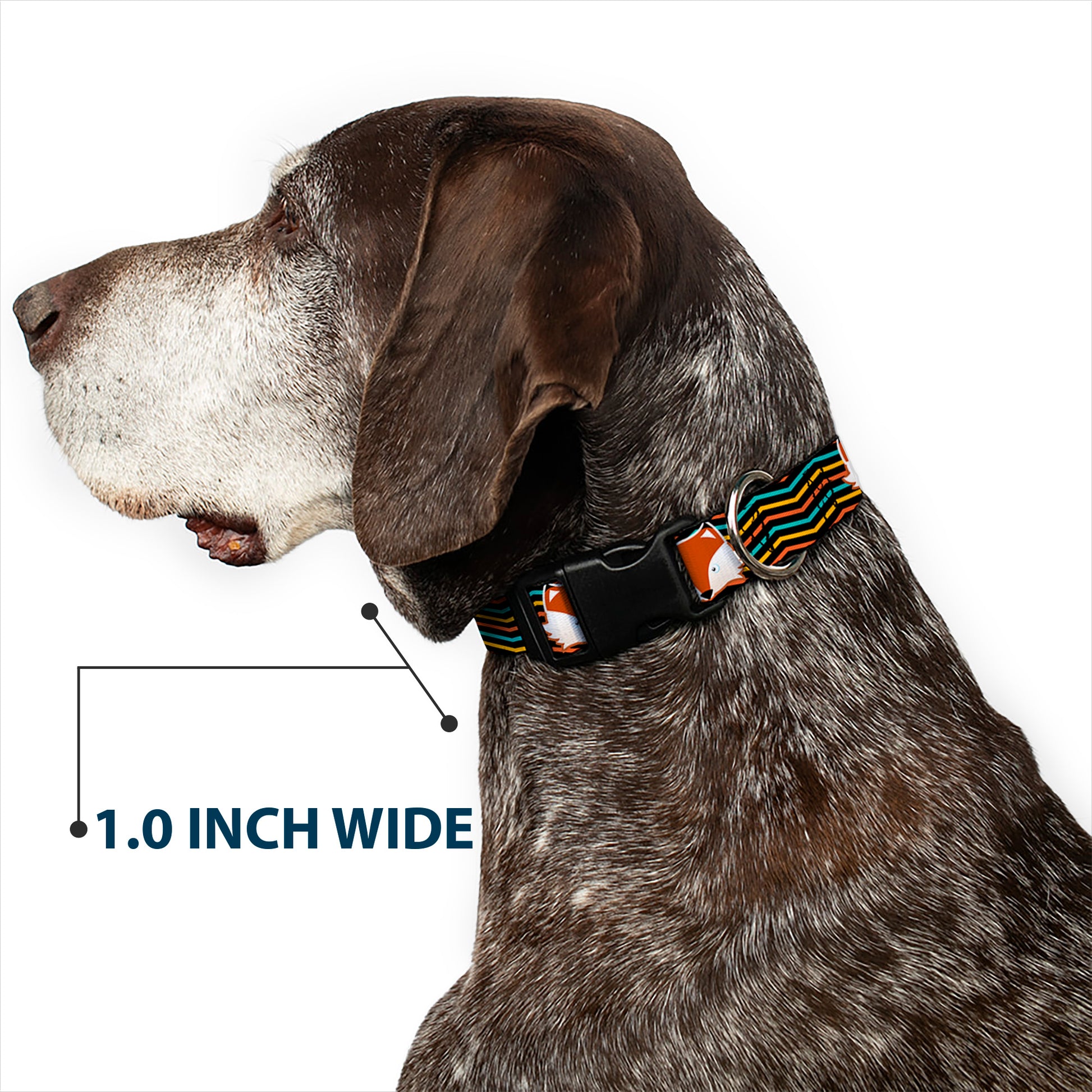 Plastic Clip Collar - Fox Face/Stripes Black/Multi Color Plastic Clip Collars Buckle-Down