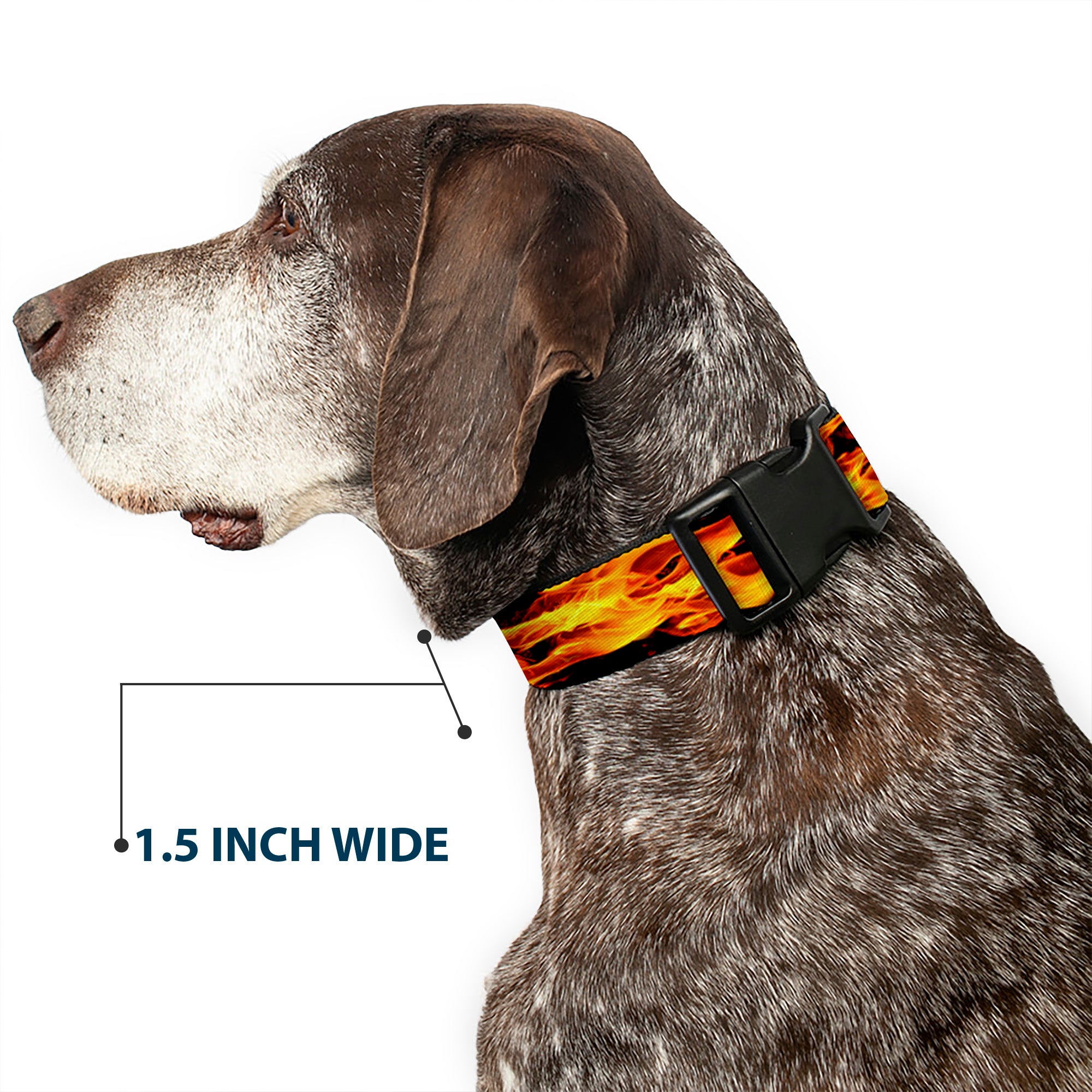 Plastic Clip Collar - Flames Vivid Black/Orange Plastic Clip Collars Buckle-Down