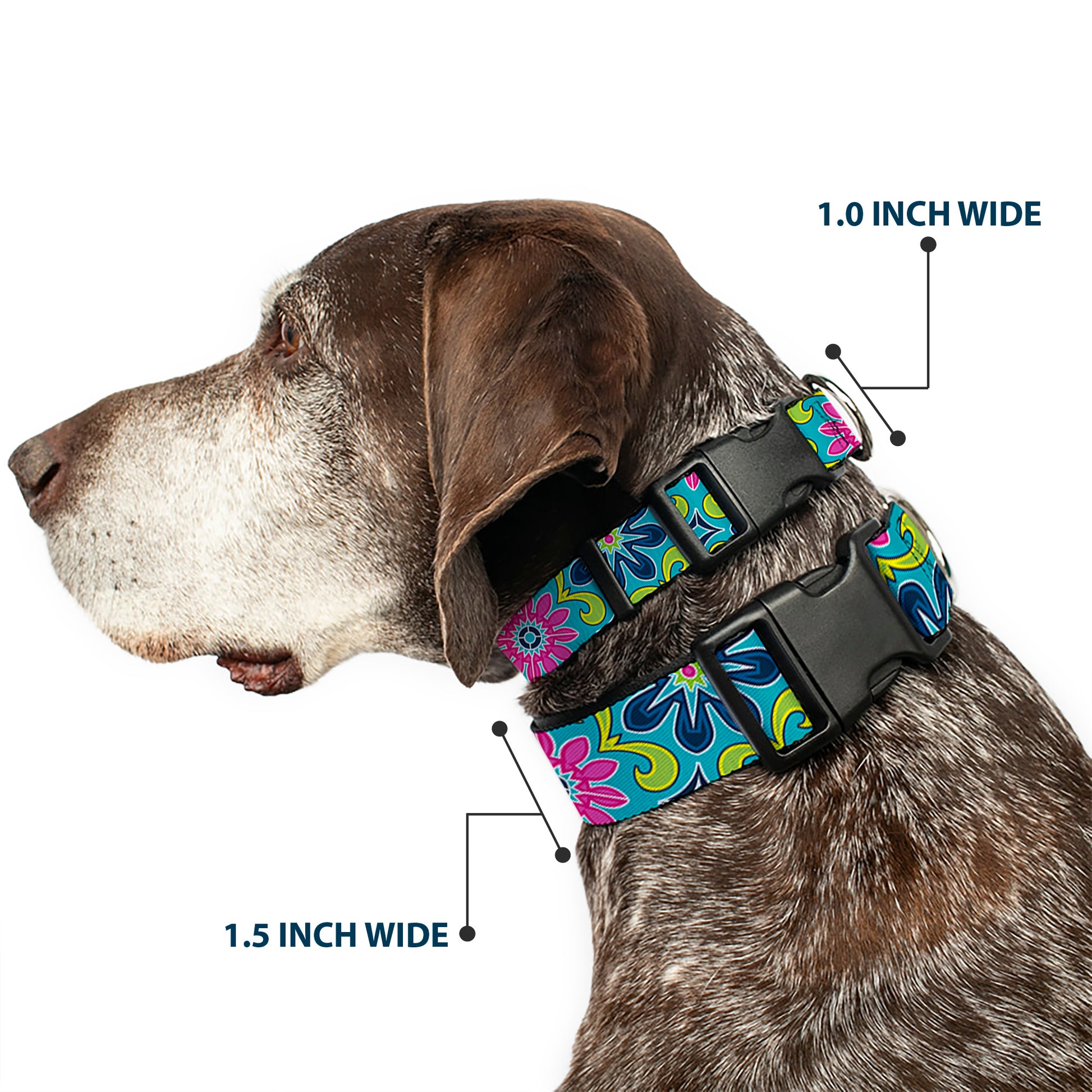Plastic Clip Collar - Floral Burst Turquoise/Blues/Pinks/Yellow/Green Plastic Clip Collars Buckle-Down