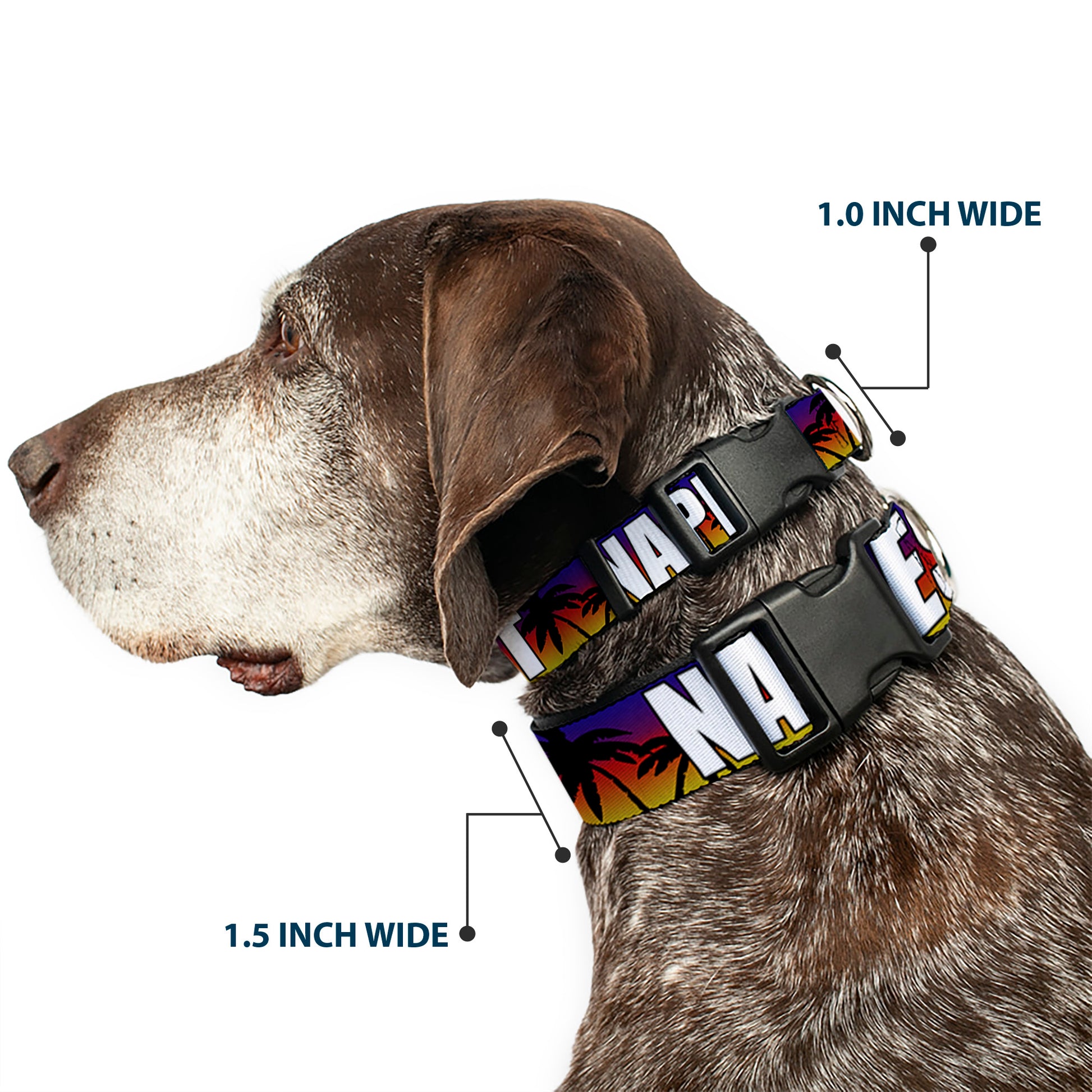 Plastic Clip Collar - Florida Cities Palm Tree Sunset/White Plastic Clip Collars Buckle-Down