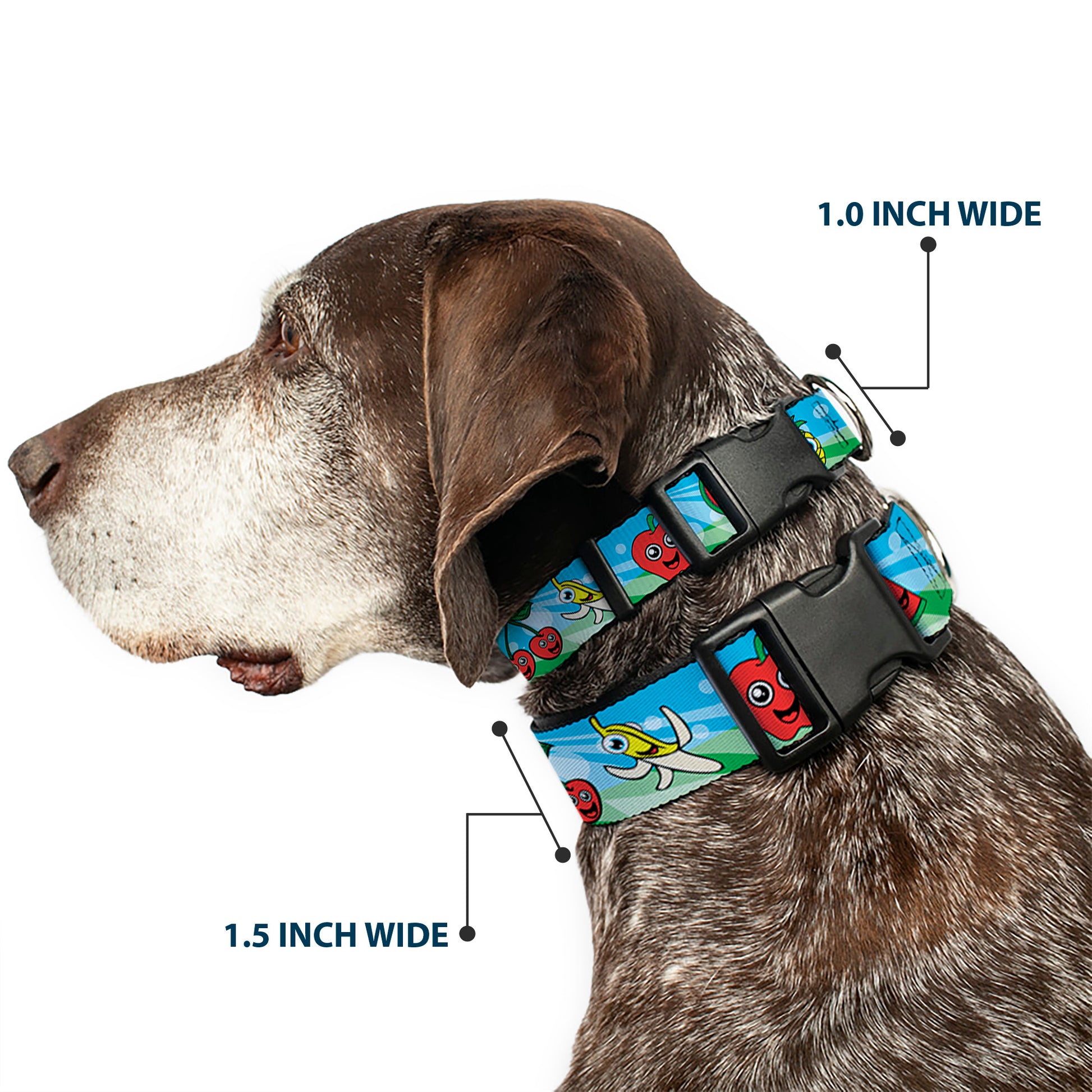 Plastic Clip Collar - Fruit Cartoon2 Plastic Clip Collars Buckle-Down