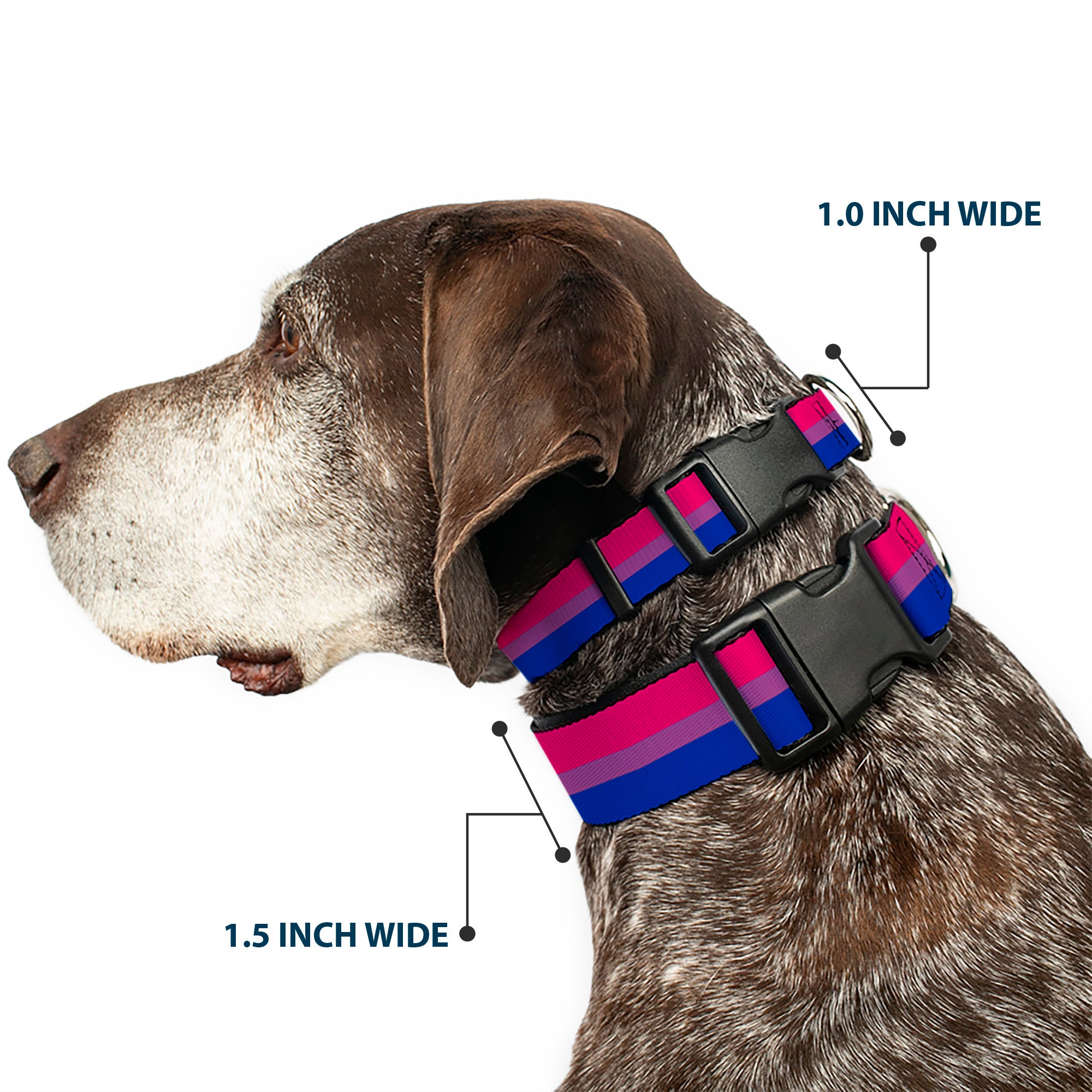 Plastic Clip Collar - Flag Bisexual Pink/Purple/Blue Plastic Clip Collars Buckle-Down
