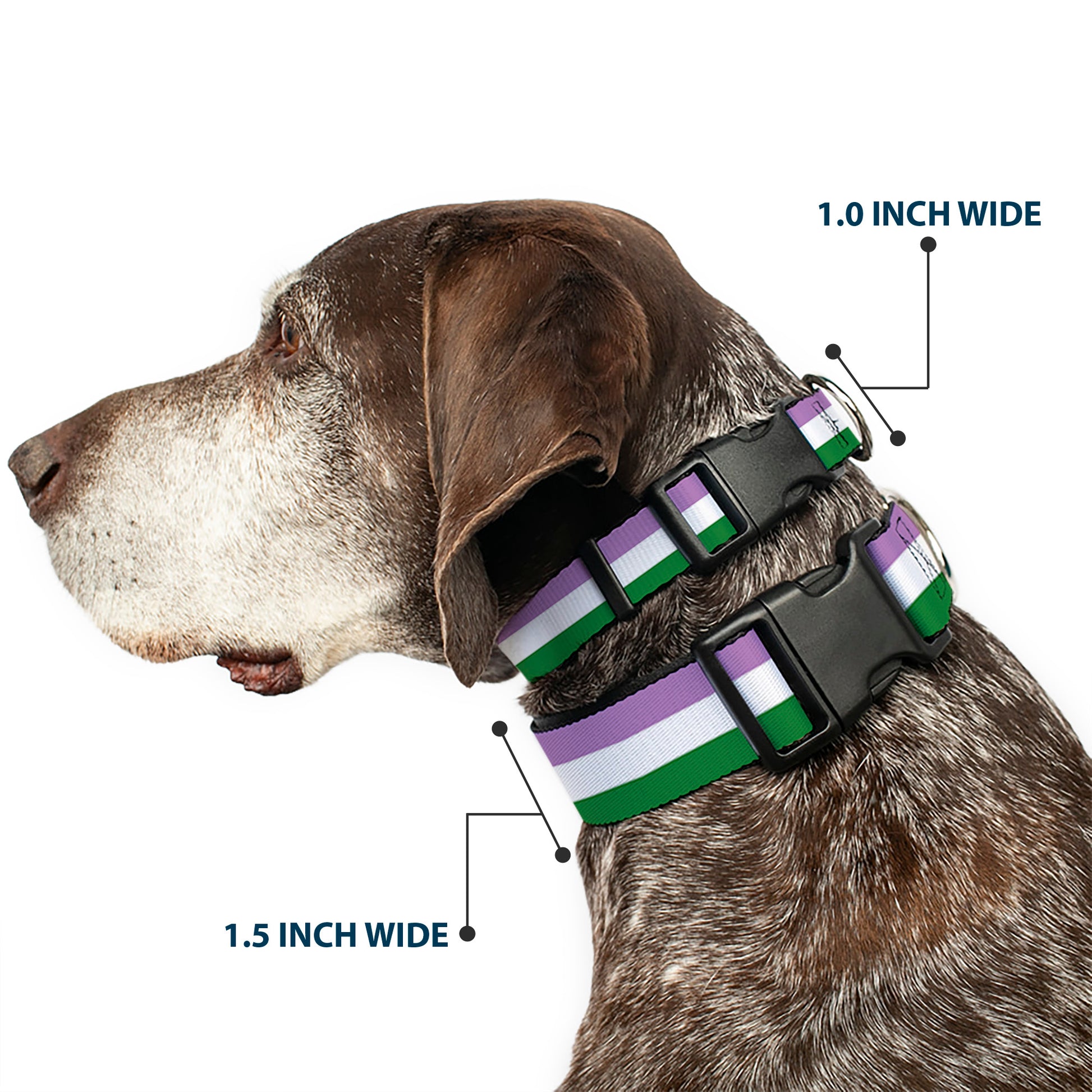 Plastic Clip Collar - Flag Genderqueer Lavender/White/Green Plastic Clip Collars Buckle-Down