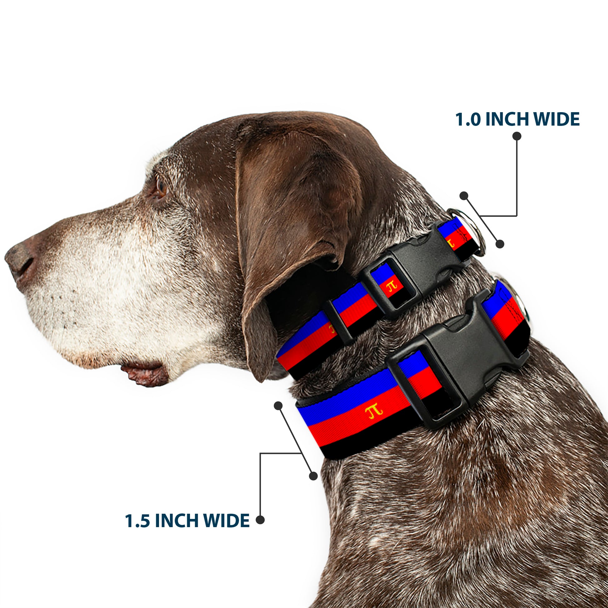 Plastic Clip Collar - Flag Polyamorous Pi Symbol Blue/Red/Black/Yellow Plastic Clip Collars Buckle-Down