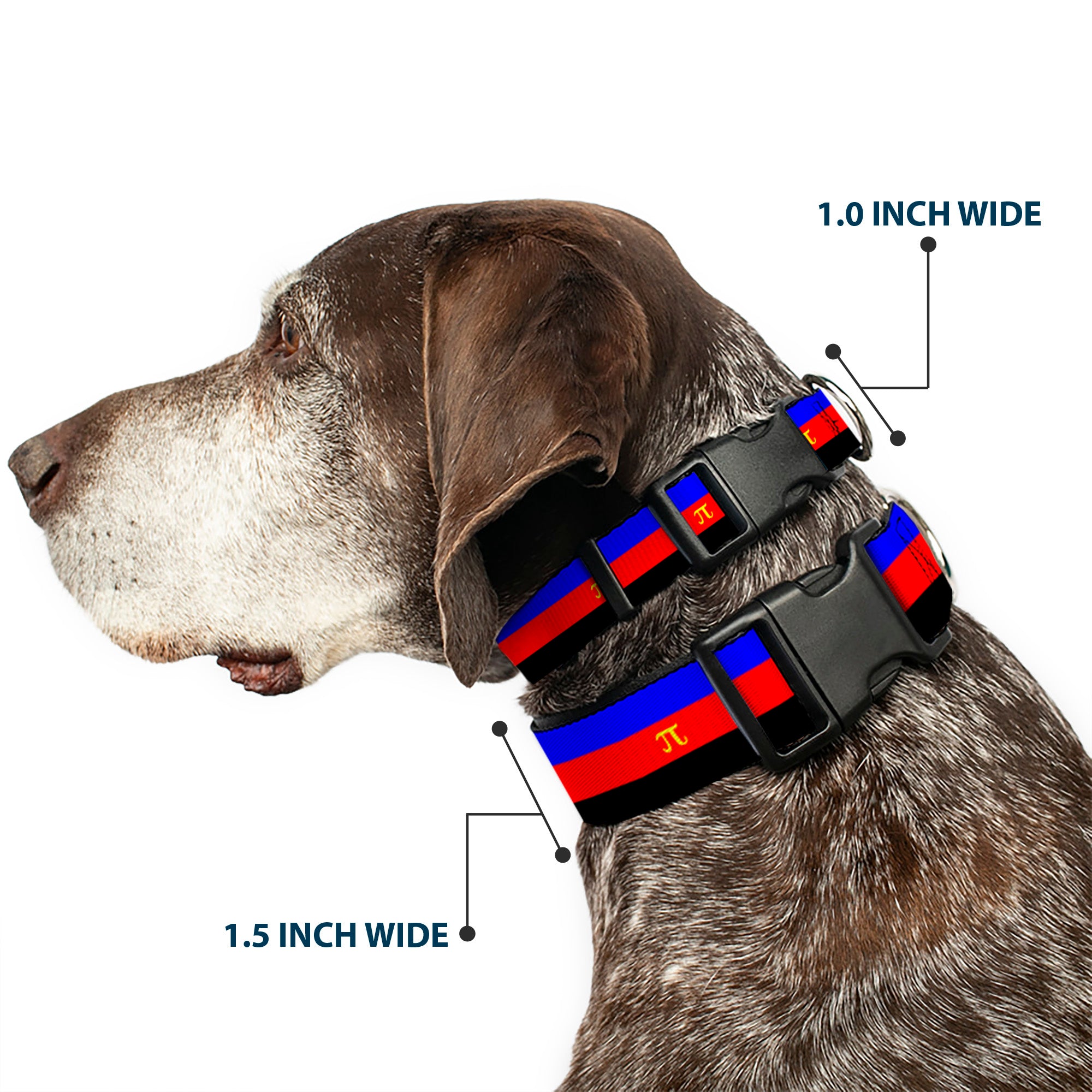Plastic Clip Collar - Flag Polyamorous Pi Symbol Blue/Red/Black/Yellow Plastic Clip Collars Buckle-Down