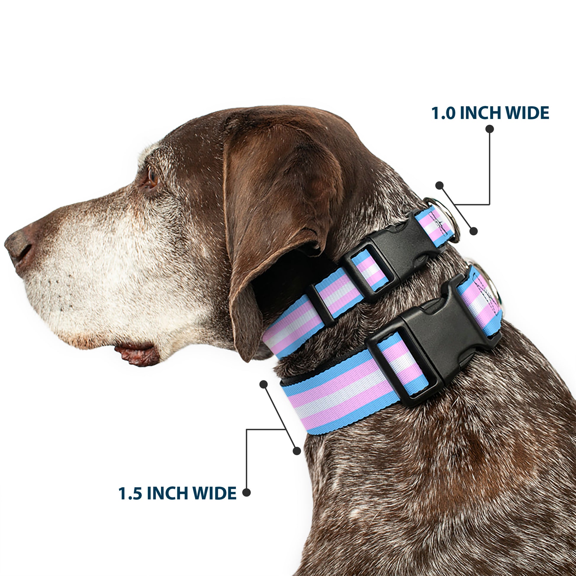 Plastic Clip Collar - Flag Transgender Baby Blue/Baby Pink/White Plastic Clip Collars Buckle-Down