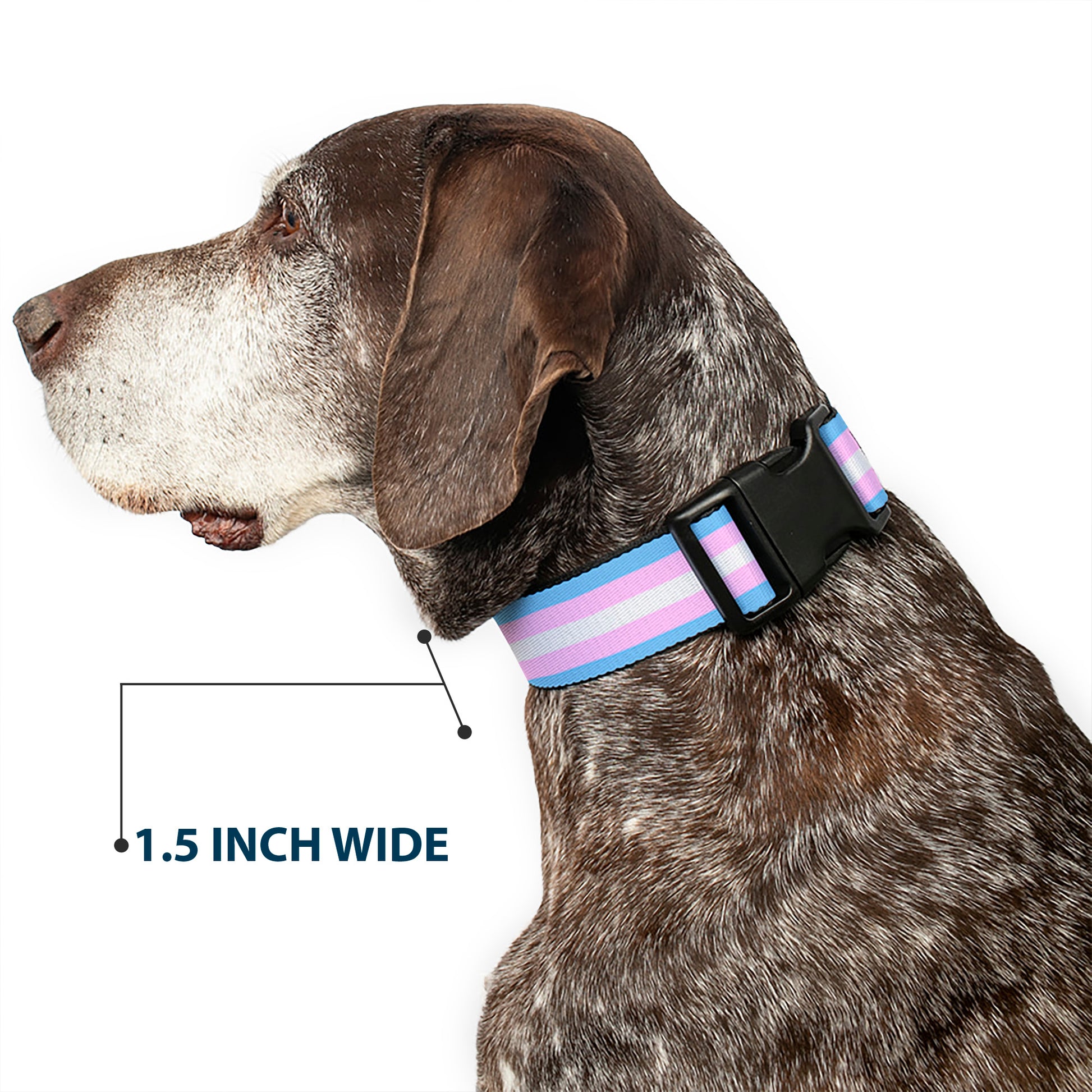 Plastic Clip Collar - Flag Transgender Baby Blue/Baby Pink/White Plastic Clip Collars Buckle-Down