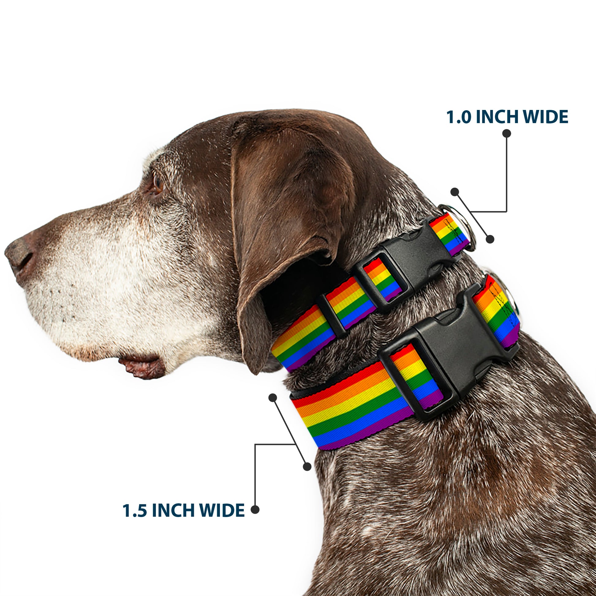 Plastic Clip Collar - Flag Pride Rainbow Plastic Clip Collars Buckle-Down