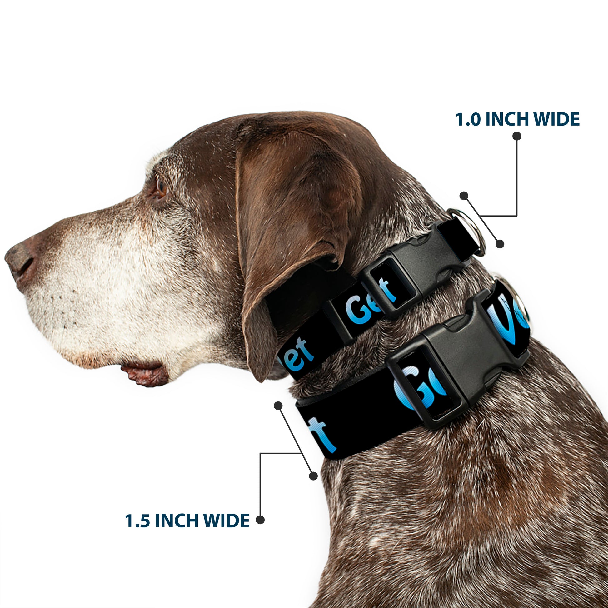 Buckle-Down Plastic Buckle Dog Collar - GET WET Black/Baby Blue Plastic Clip Collars Buckle-Down