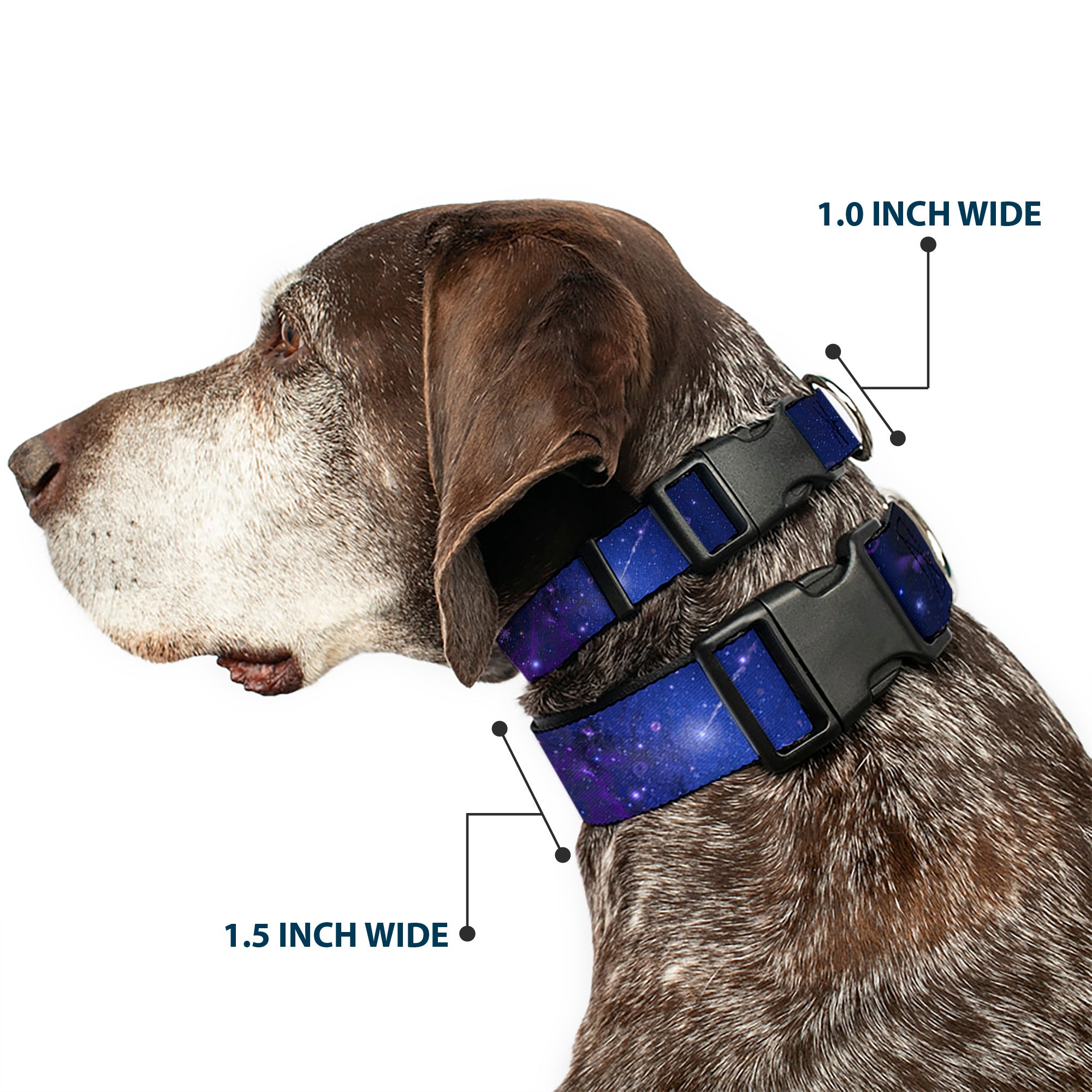 Plastic Clip Collar - Galaxy Blues/Purples Plastic Clip Collars Buckle-Down