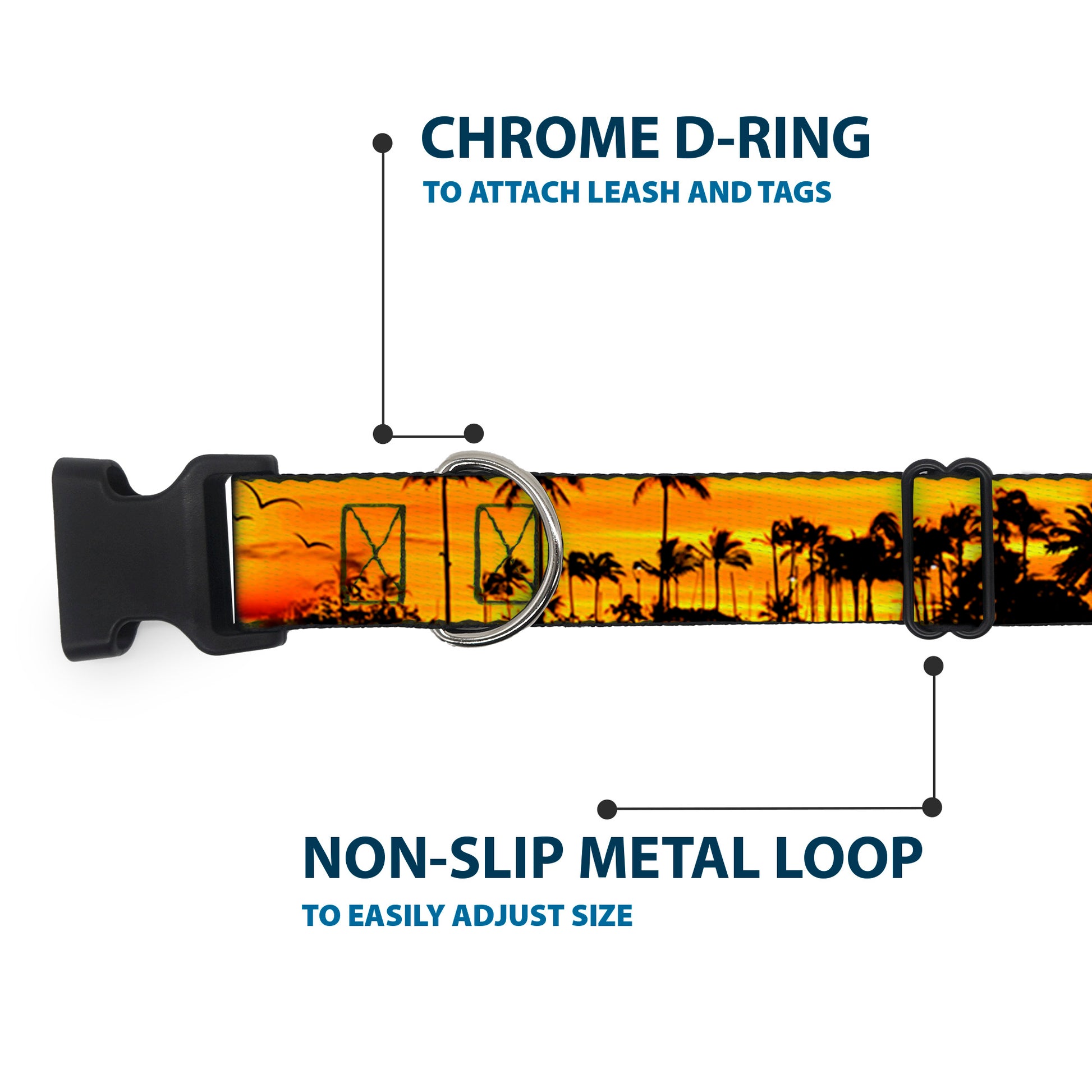 Plastic Clip Collar - Golden Sunset Plastic Clip Collars Buckle-Down