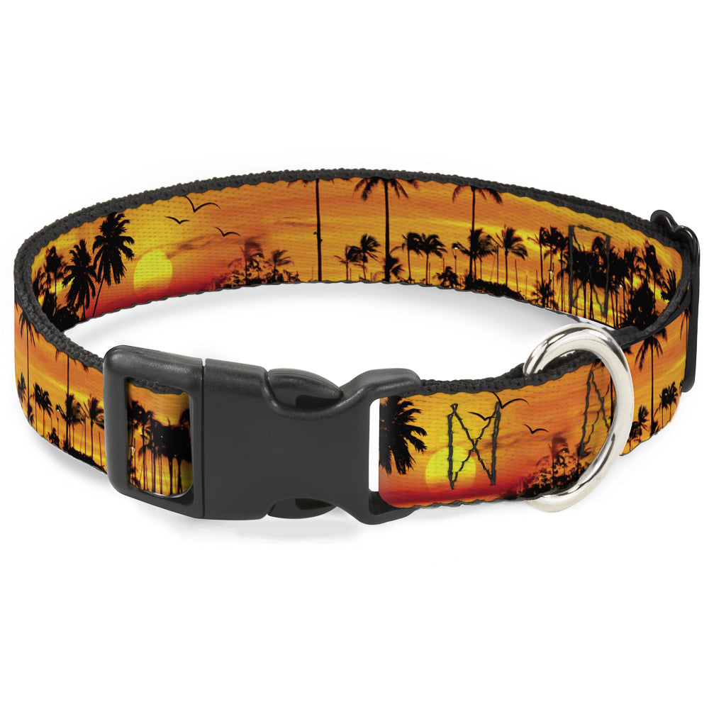 Plastic Clip Collar - Golden Sunset Plastic Clip Collars Buckle-Down