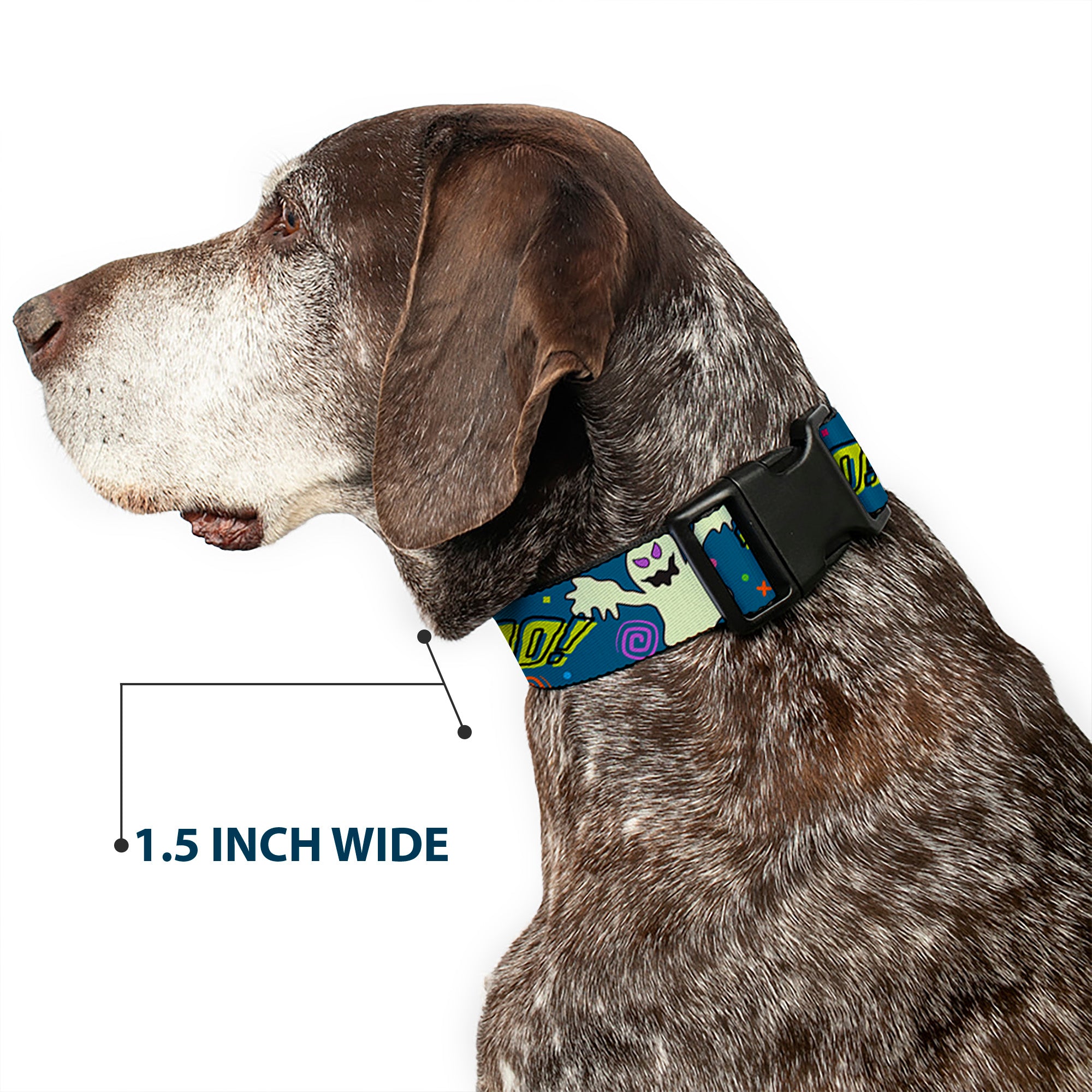 Plastic Clip Collar - Ghost BOO! Blue/Multi Color Plastic Clip Collars Buckle-Down