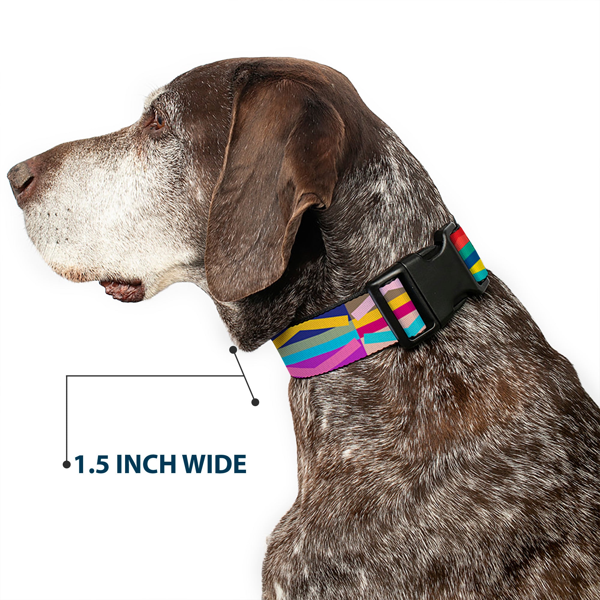 Plastic Clip Collar - Geometric10 Multi Color Plastic Clip Collars Buckle-Down