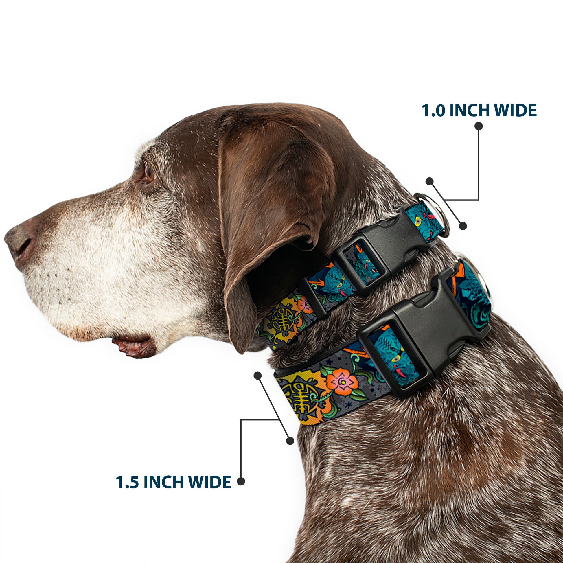 Plastic Clip Collar - Honor Gray Plastic Clip Collars Buckle-Down