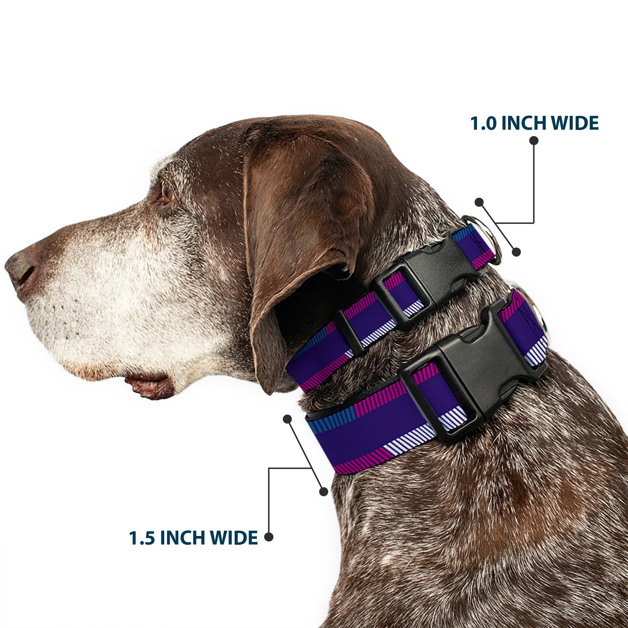 Plastic Clip Collar - Hash Mark Stripe Navy/Turquoise/Fuchsia/White Plastic Clip Collars Buckle-Down