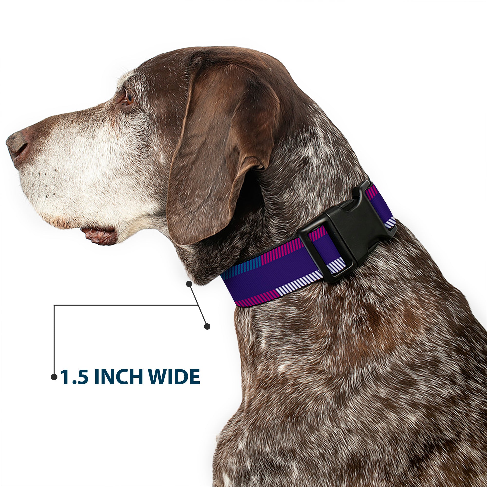 Plastic Clip Collar - Hash Mark Stripe Navy/Turquoise/Fuchsia/White Plastic Clip Collars Buckle-Down