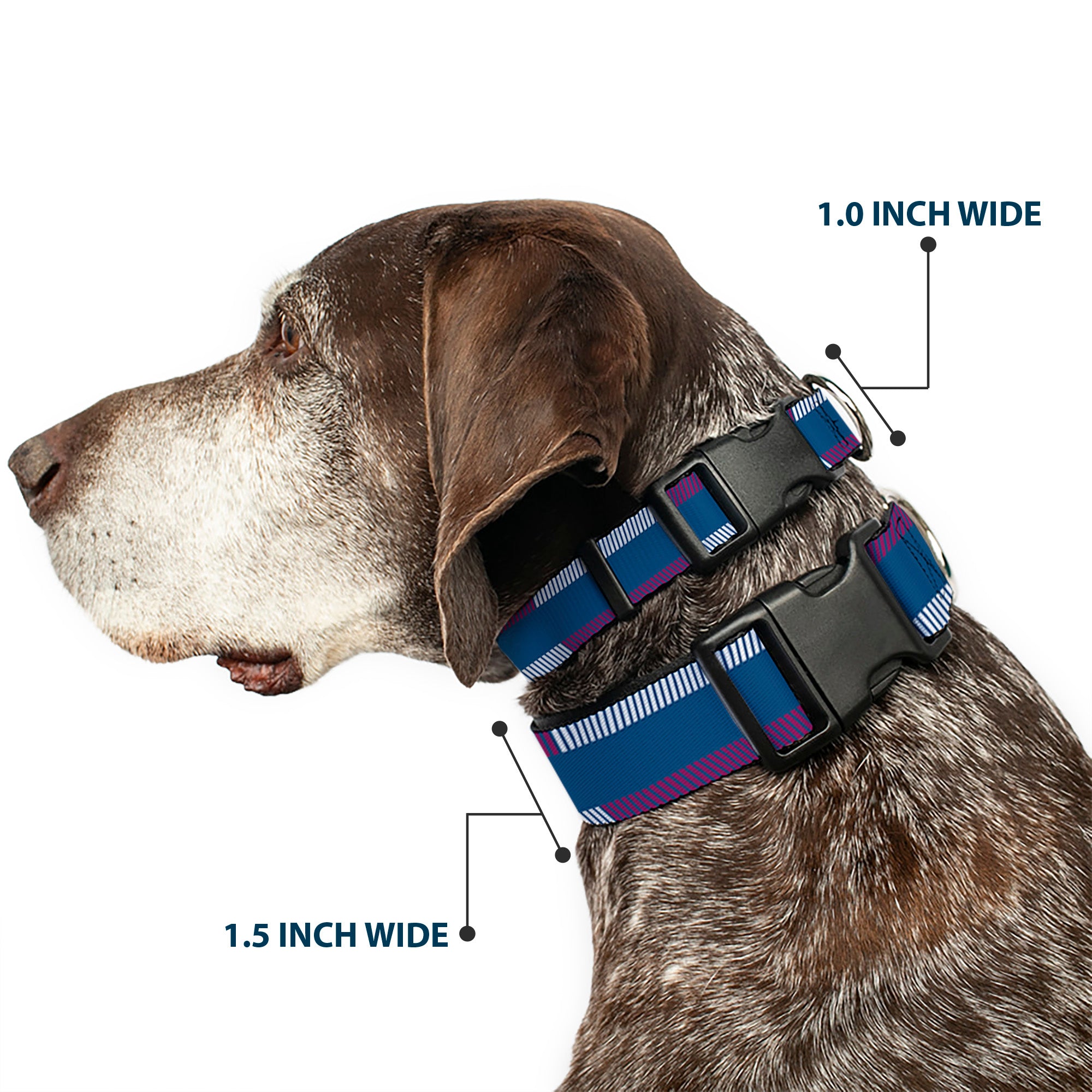 Plastic Clip Collar - Hash Mark Stripe Turquoise/Fuchsia/White Plastic Clip Collars Buckle-Down