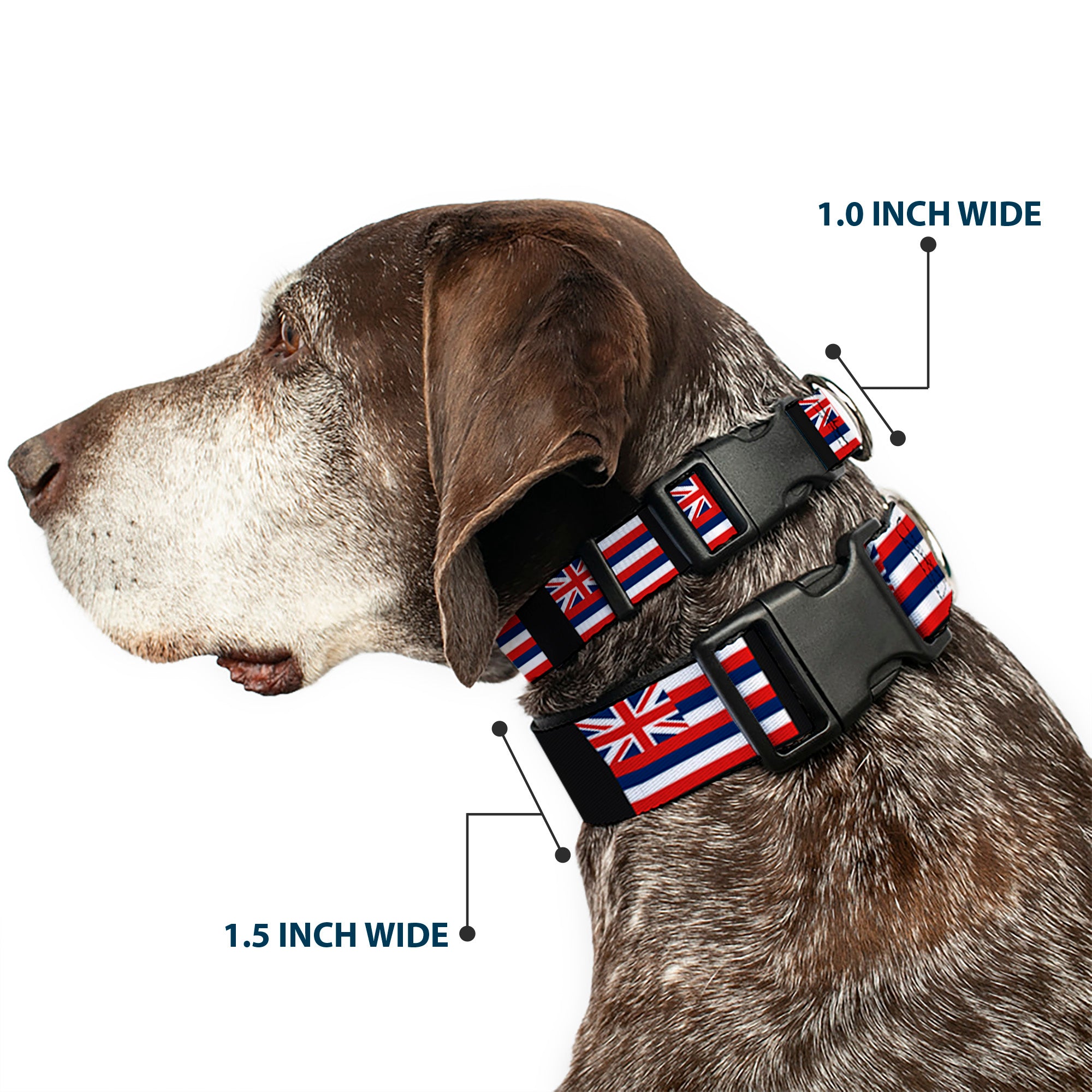 Plastic Clip Collar - Hawaii Flags Plastic Clip Collars Buckle-Down