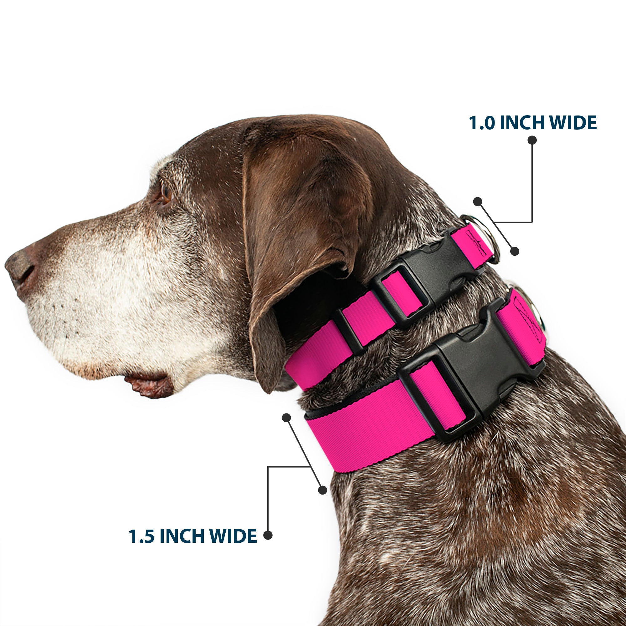 Plastic Clip Collar - Hot Pink Plastic Clip Collars Buckle-Down