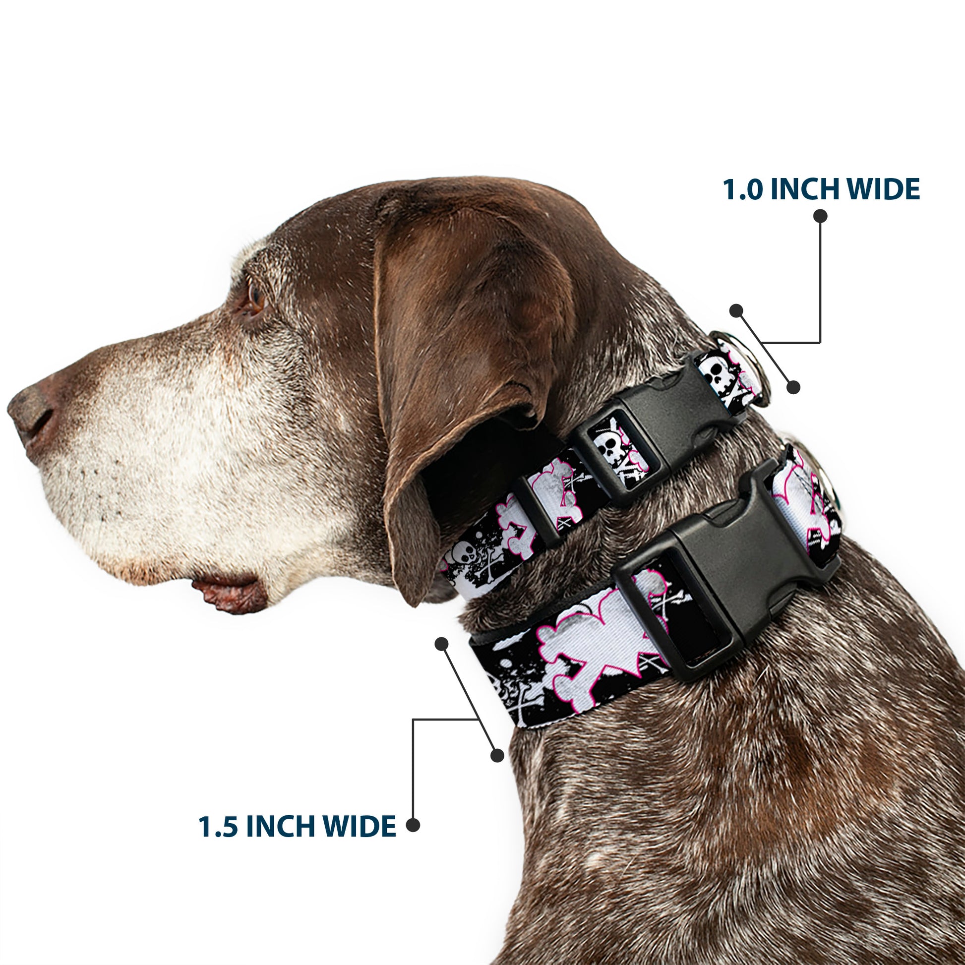 Plastic Clip Collar - Heart & Cross Bones w/Skulls & Splatter Black/White Plastic Clip Collars Buckle-Down