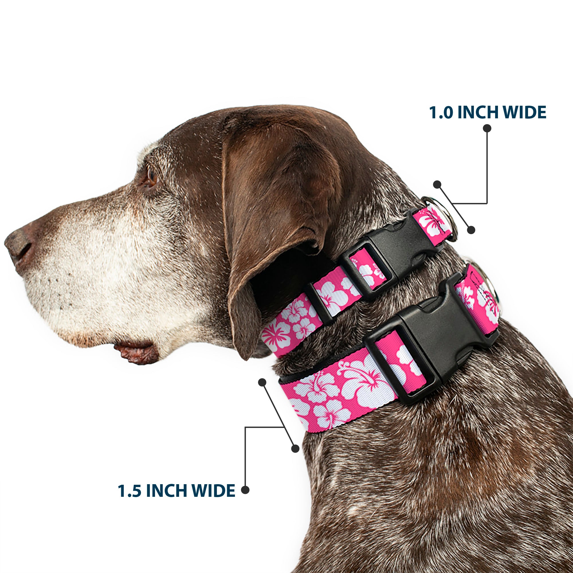 Plastic Clip Collar - Hibiscus Neon Pink/White Plastic Clip Collars Buckle-Down