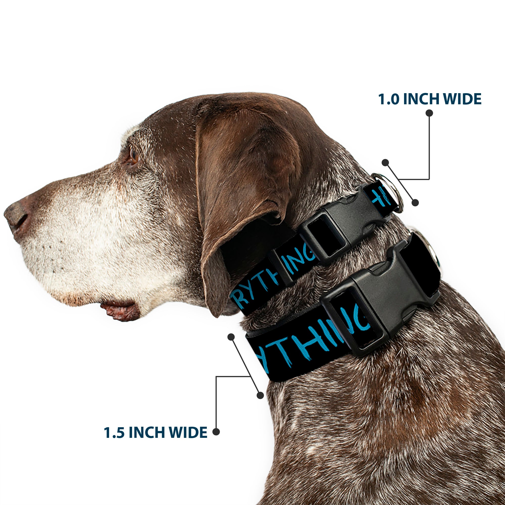 Plastic Clip Collar - HIPSTERS RUIN EVERYTHING Black/Blue Plastic Clip Collars Buckle-Down