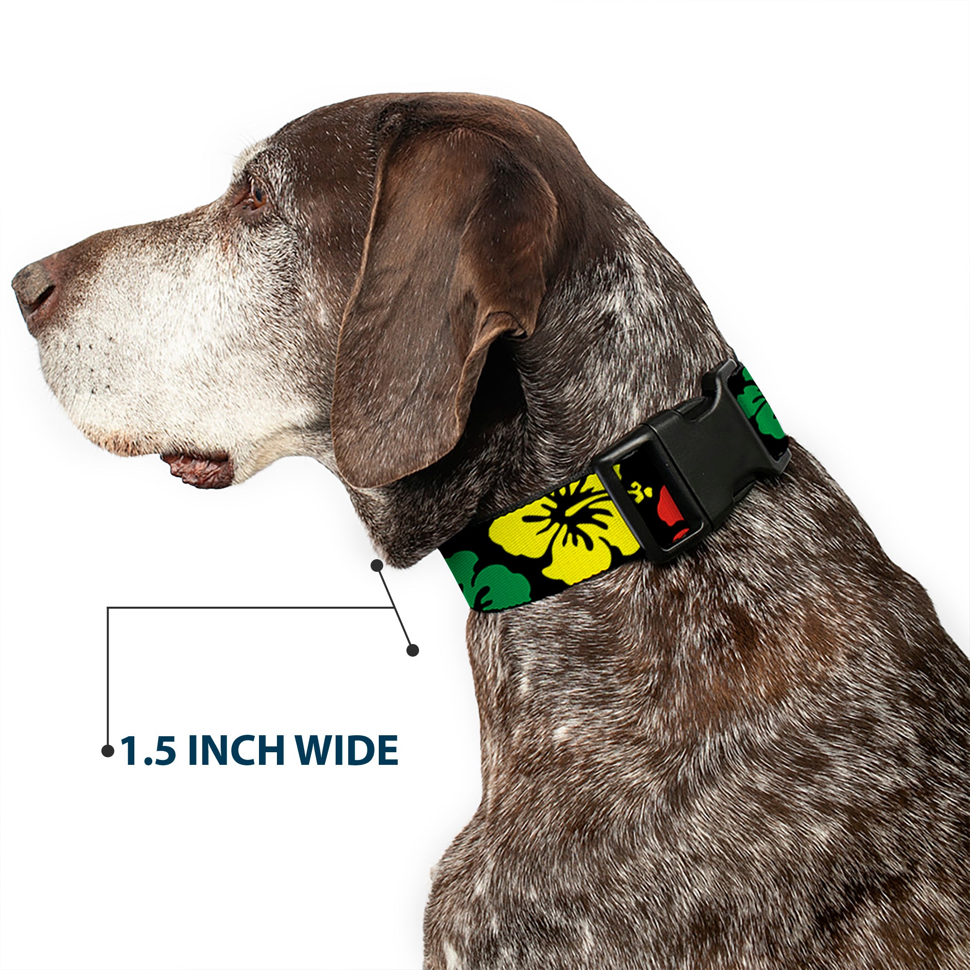 Plastic Clip Collar - Hibiscus CLOSE-UP Black/Green/Yellow/Red Plastic Clip Collars Buckle-Down