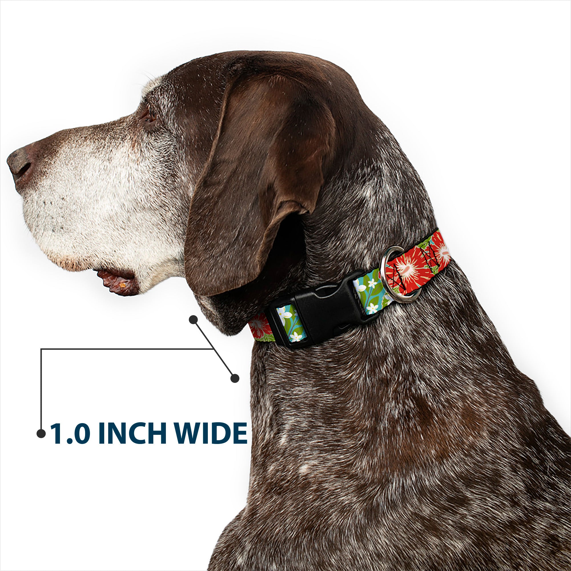 Plastic Clip Collar - Hibiscus & Plumerias Turquoise/Green/Red/White Plastic Clip Collars Buckle-Down