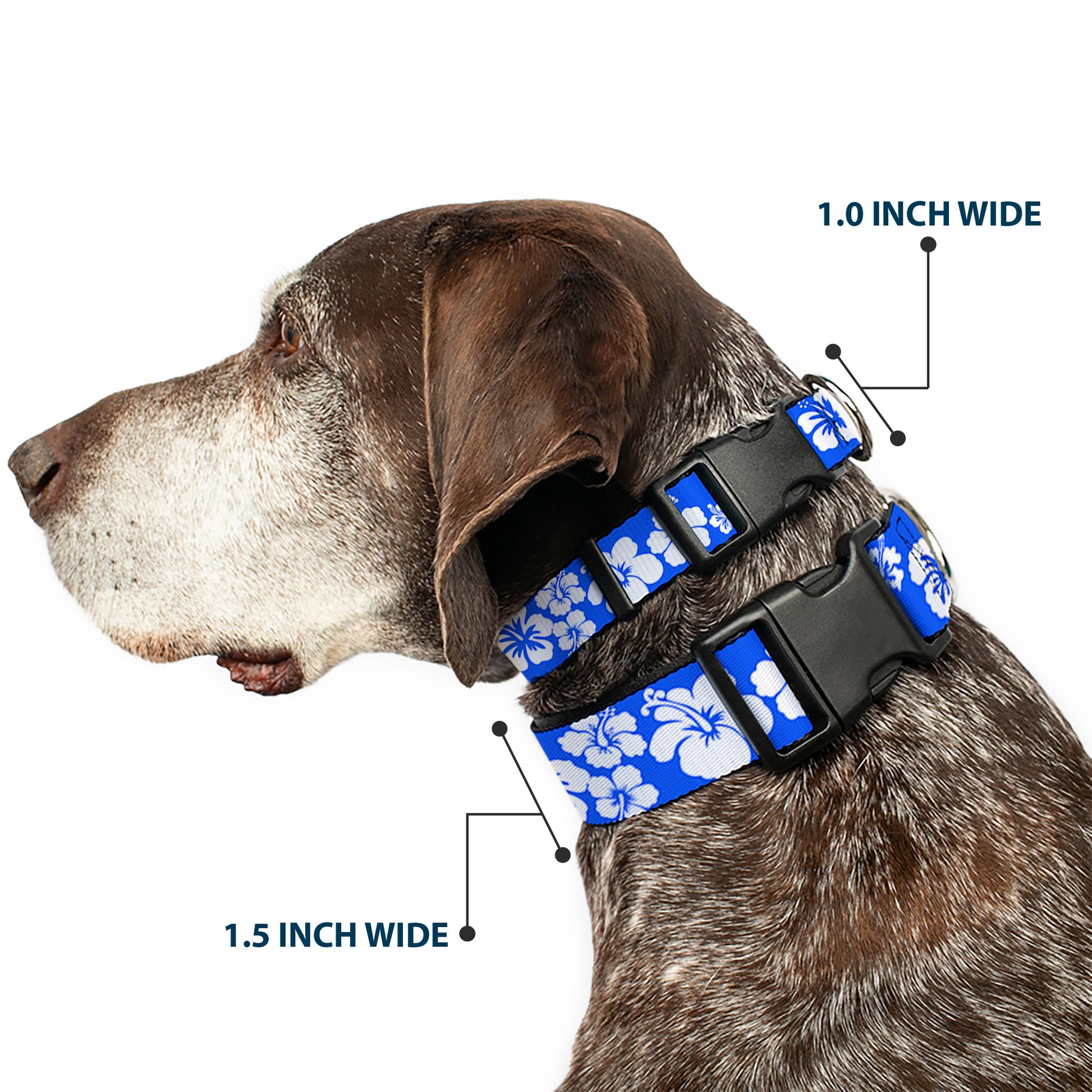 Plastic Clip Collar - Hibiscus Blue/White Plastic Clip Collars Buckle-Down
