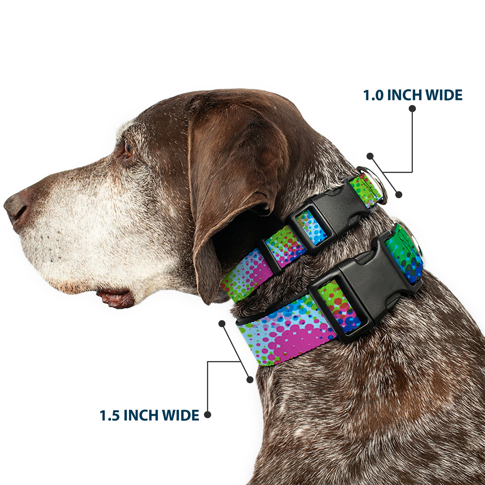 Plastic Clip Collar - Halftone Dots Light Blue/Blues/Greens/Pinks Plastic Clip Collars Buckle-Down