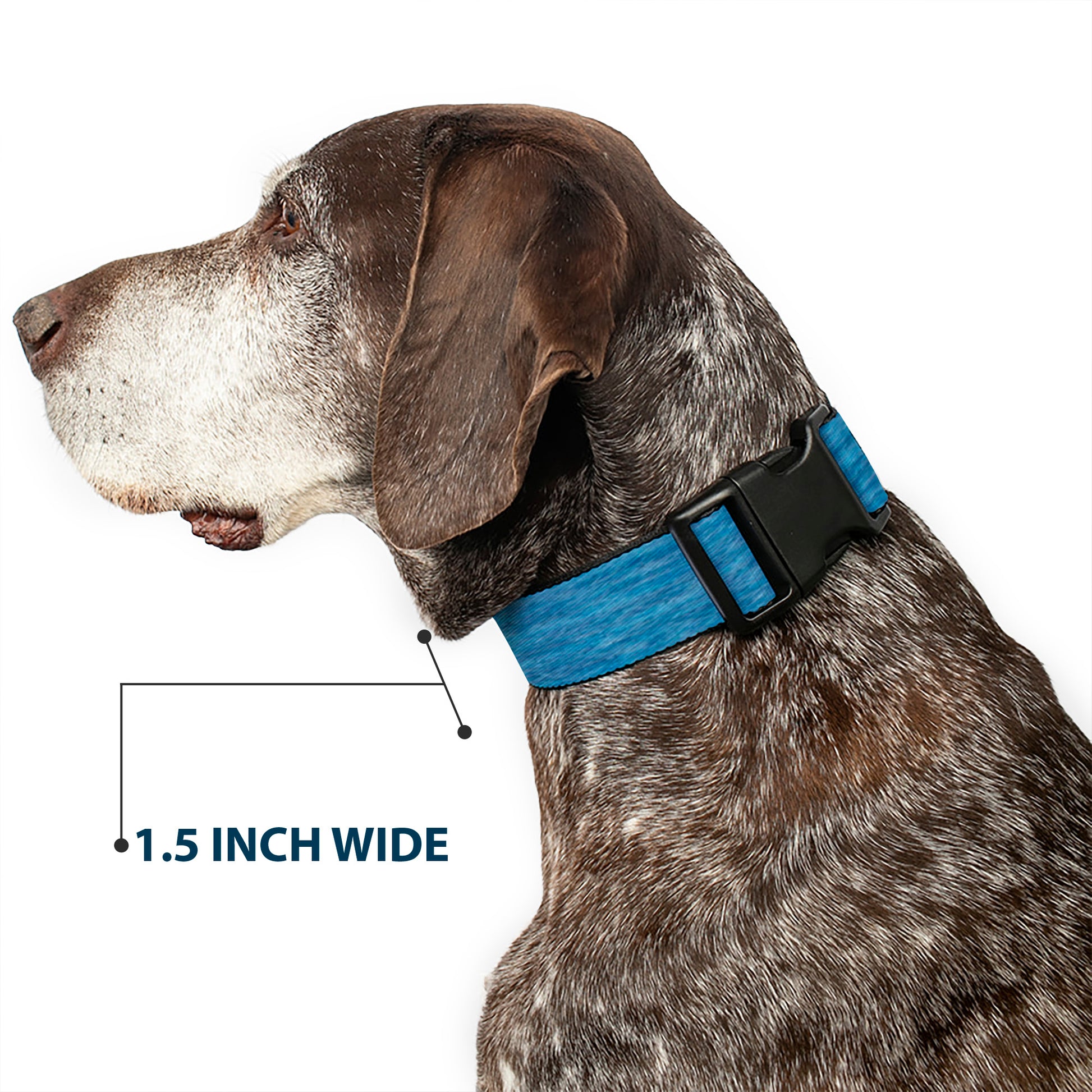 Plastic Clip Collar - Heather Blue Plastic Clip Collars Buckle-Down