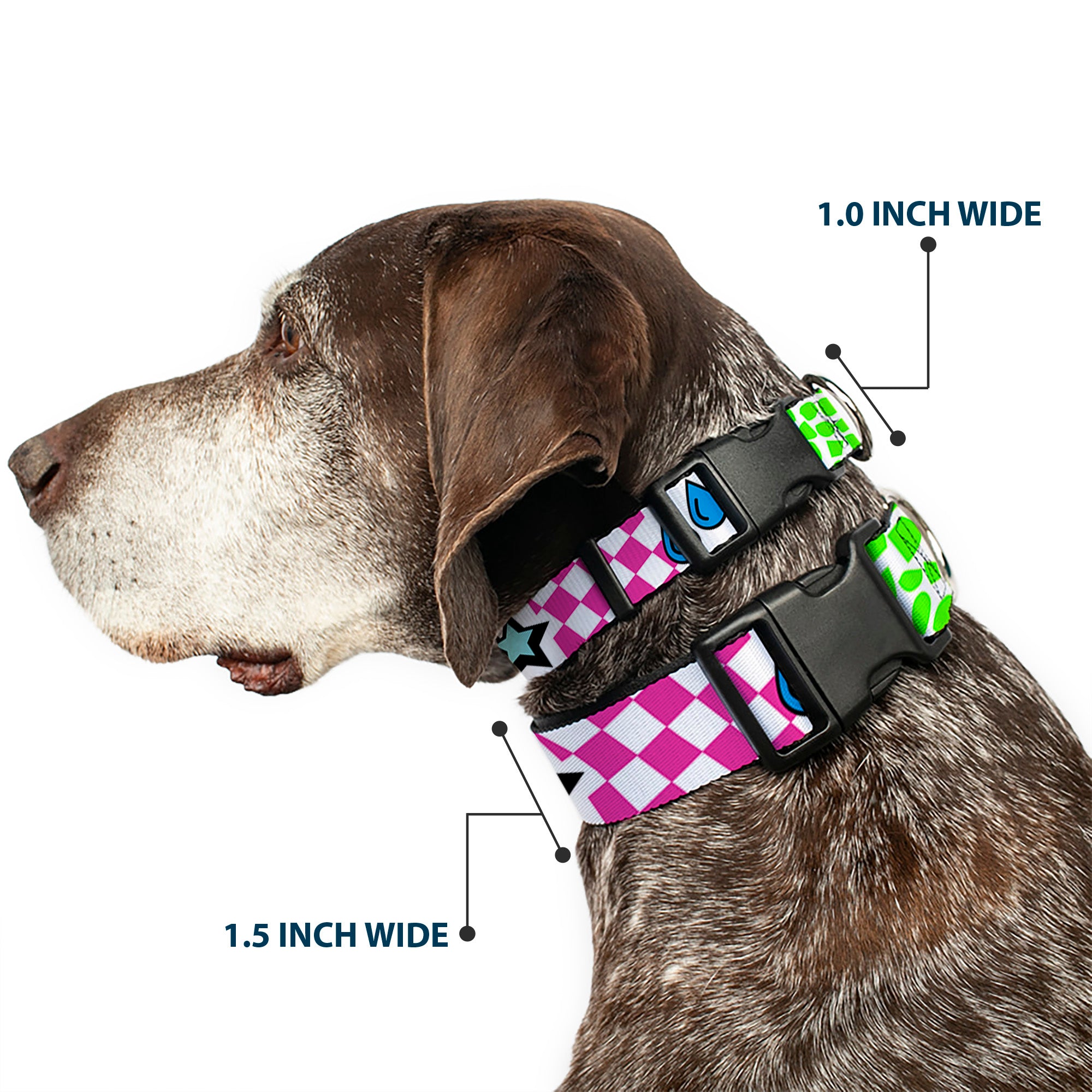 Plastic Clip Collar - Icons & Patterns 1 Plastic Clip Collars Buckle-Down