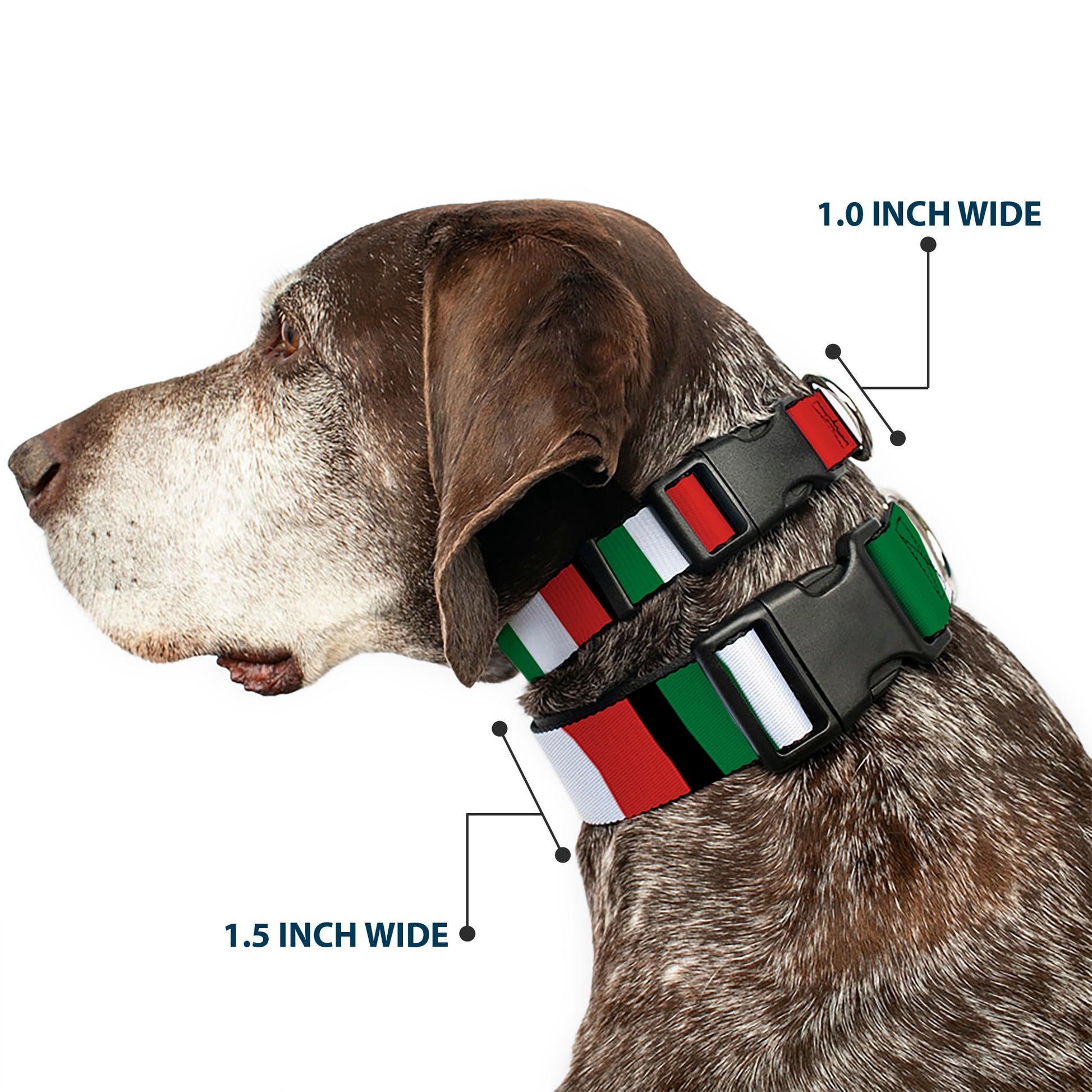 Plastic Clip Collar - Italy Flags Plastic Clip Collars Buckle-Down