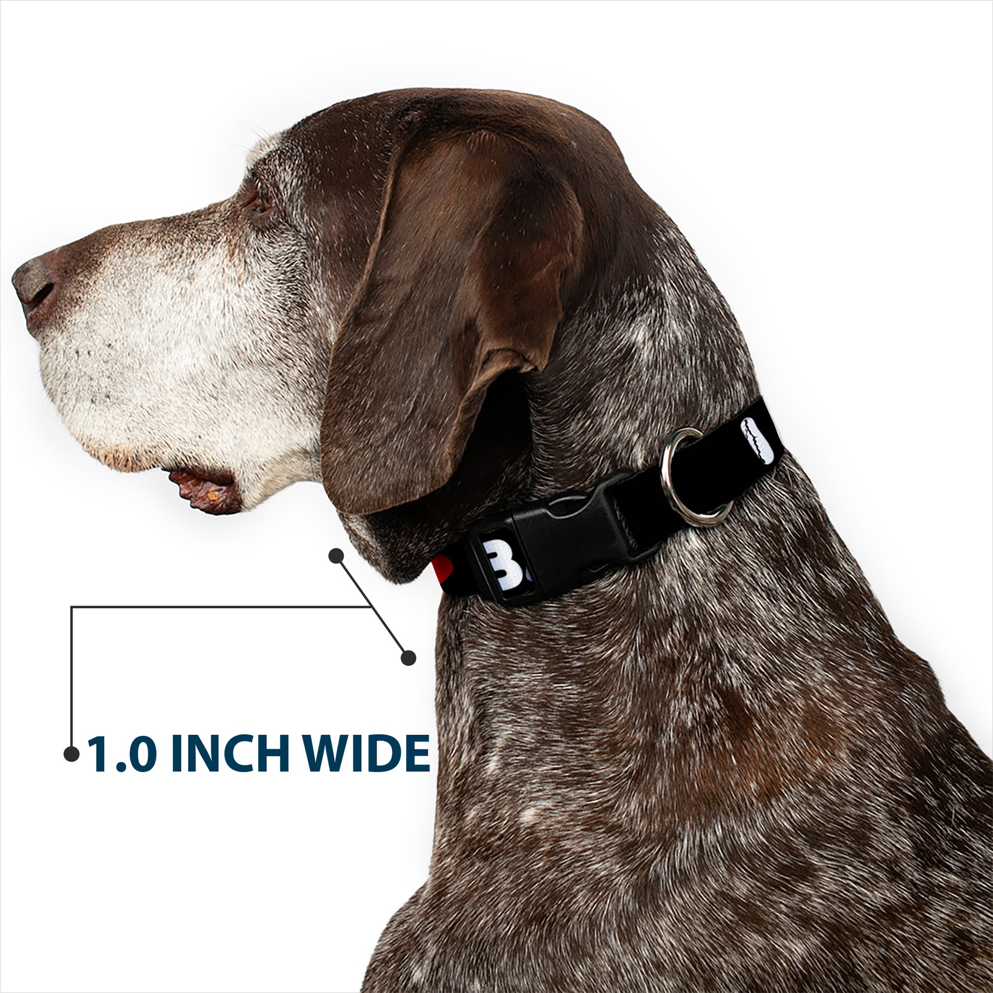 Plastic Clip Collar - I HEART BACON Text Plastic Clip Collars Buckle-Down