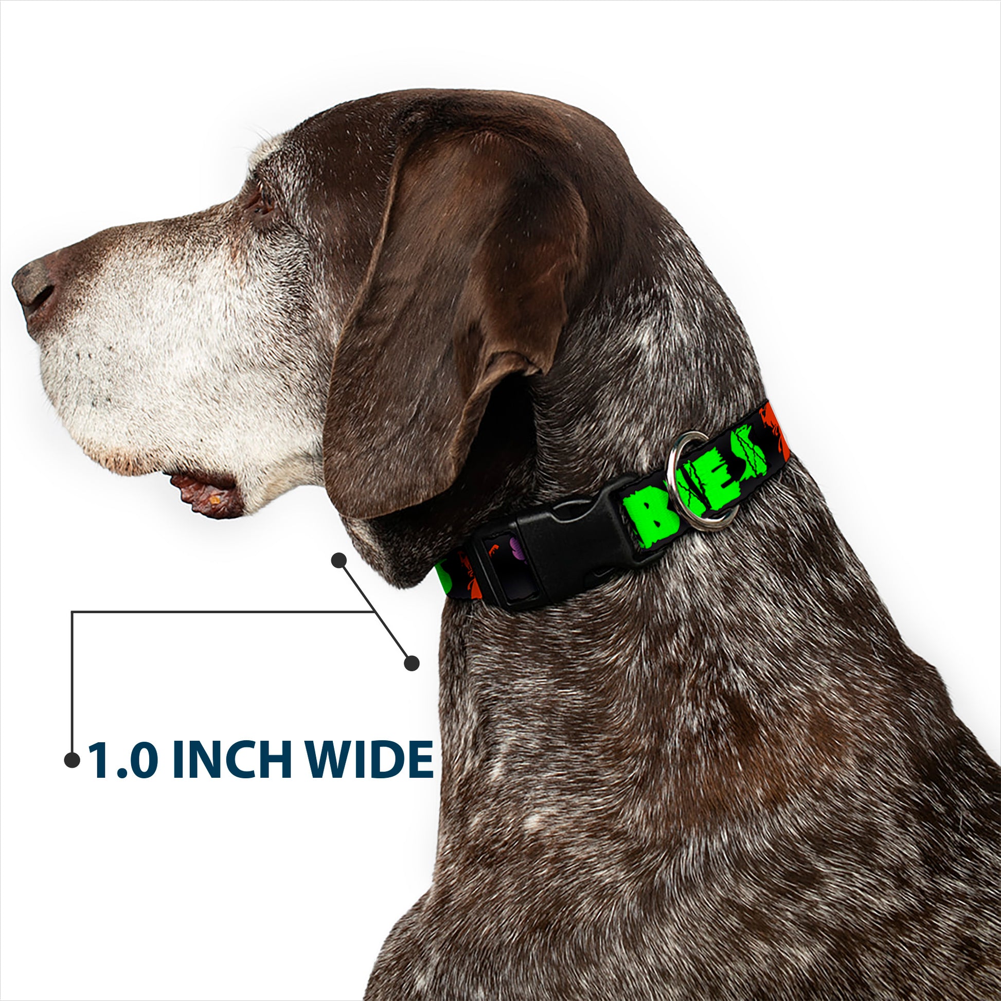 Plastic Clip Collar - I Heart Zombies Plastic Clip Collars Buckle-Down