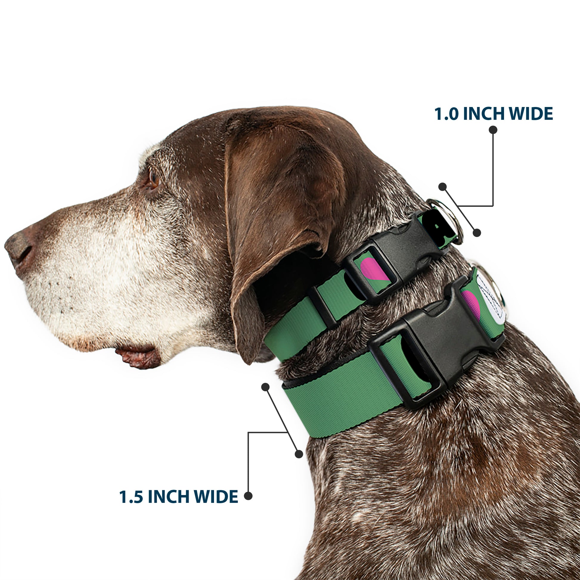 Plastic Clip Collar - I "Heart" PANDAS Green/White/Black/Pink Plastic Clip Collars Buckle-Down