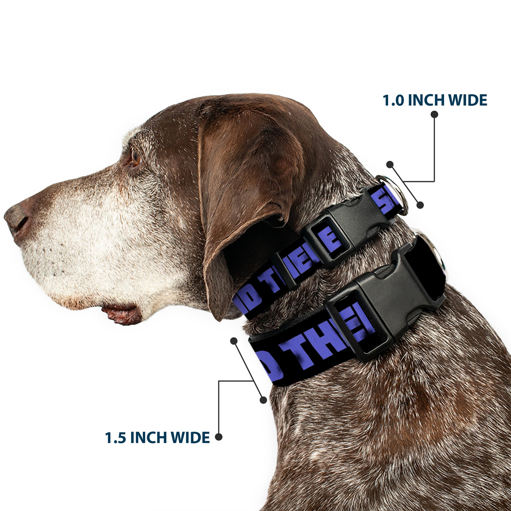 Plastic Clip Collar - I SEE WHAT YOU DID THERE Weathered Black/Purple Plastic Clip Collars Buckle-Down
