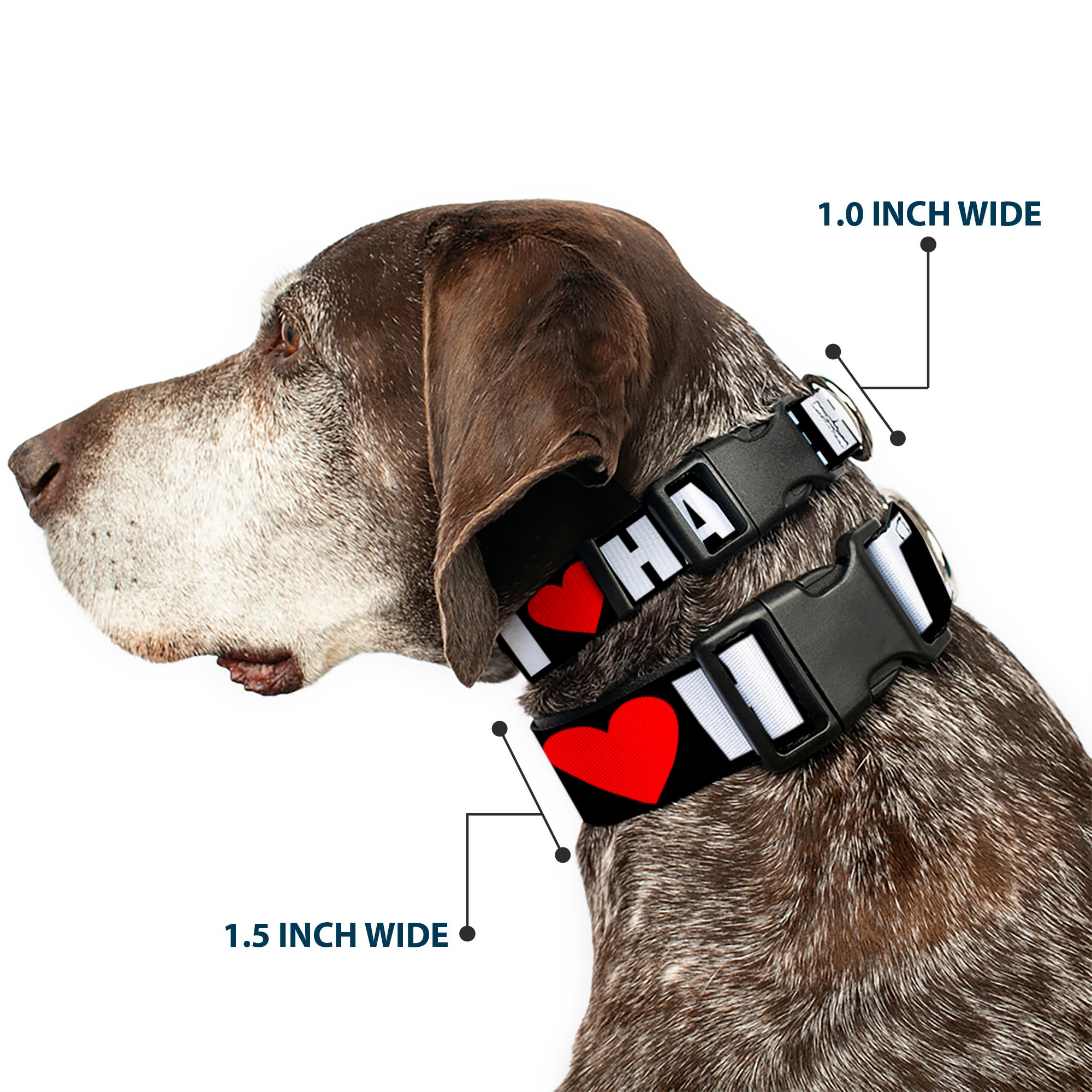 Plastic Clip Collar - I "Heart" HATERS Black/White/Red Plastic Clip Collars Buckle-Down