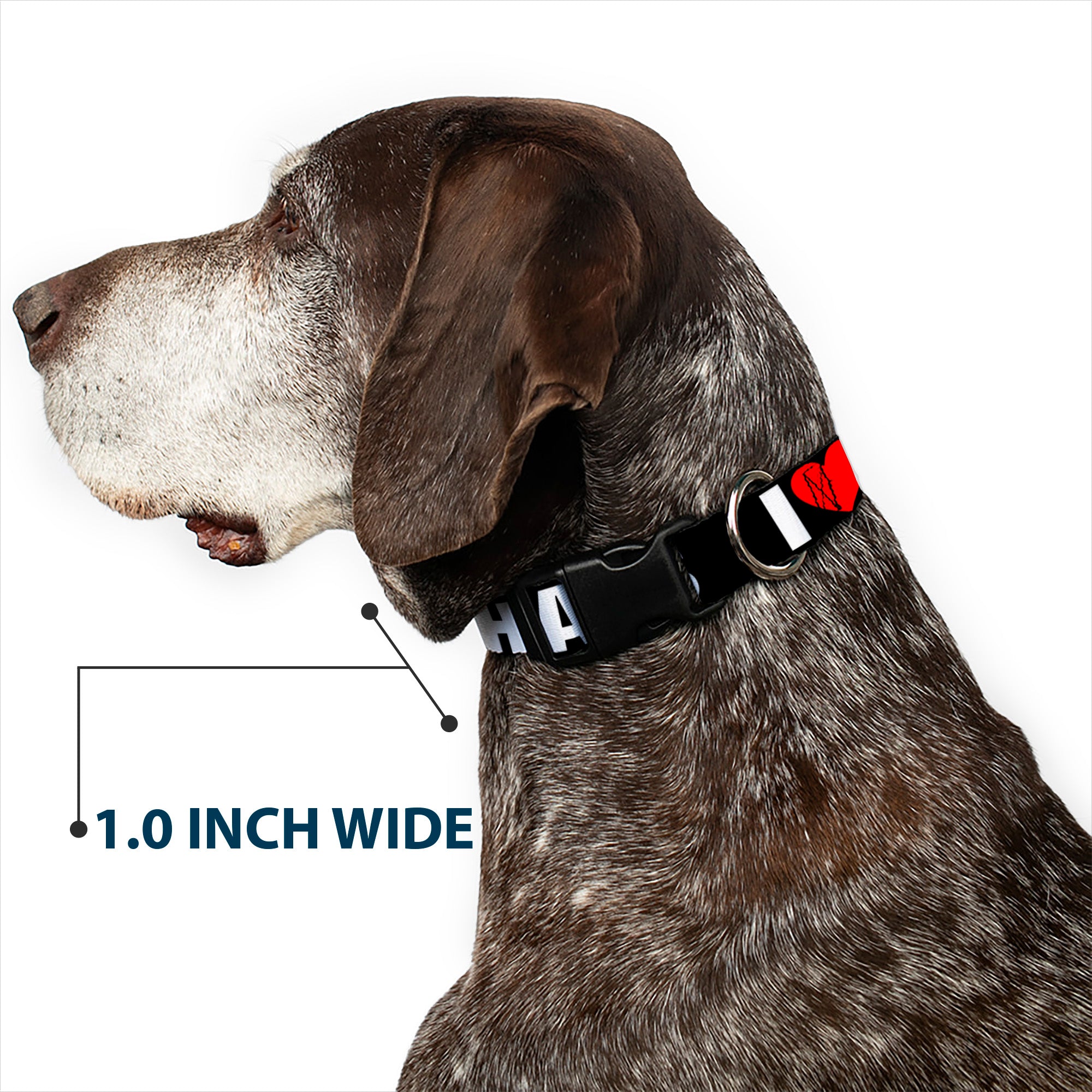 Plastic Clip Collar - I "Heart" HATERS Black/White/Red Plastic Clip Collars Buckle-Down