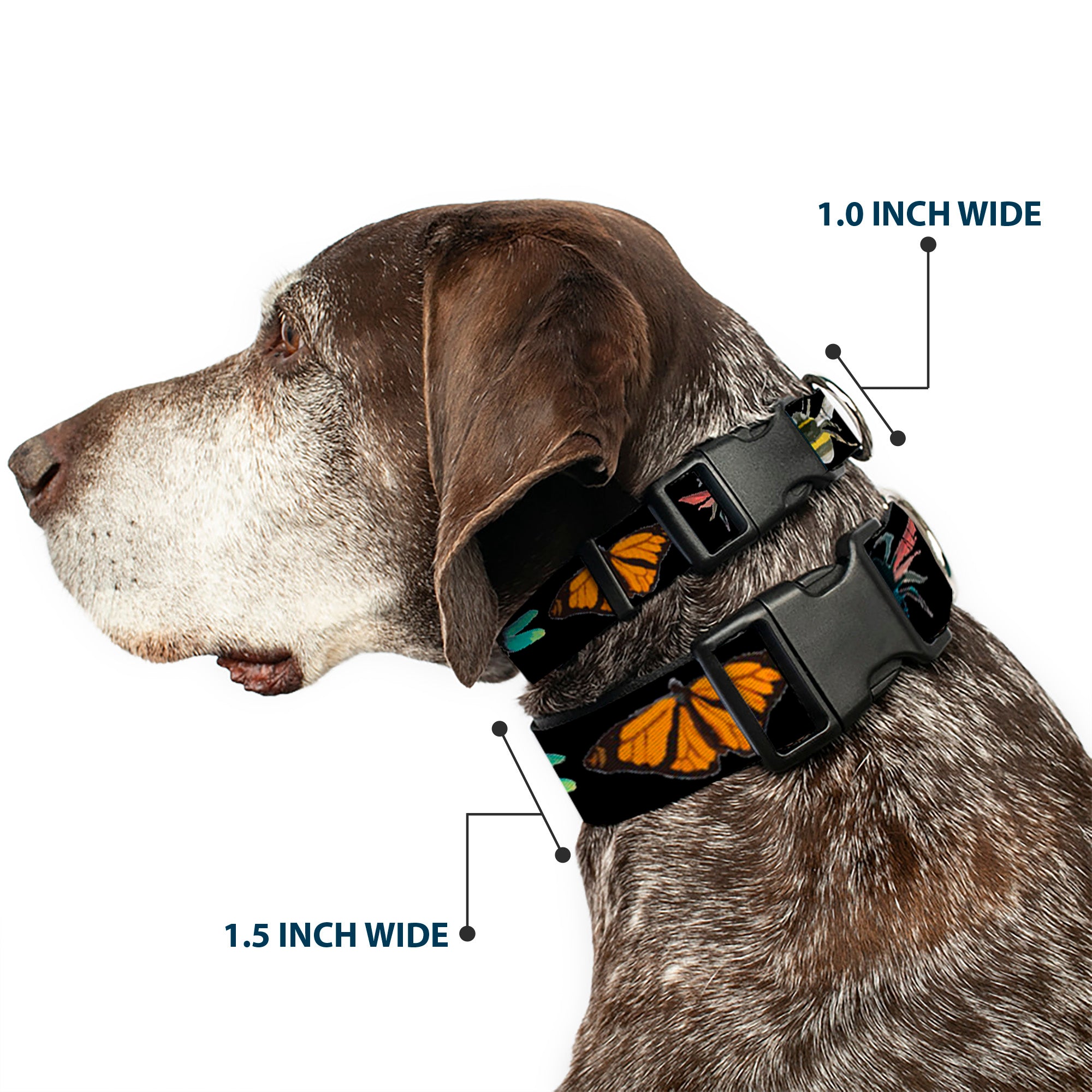 Plastic Clip Collar - Insects CLOSE-UP Black Plastic Clip Collars Buckle-Down