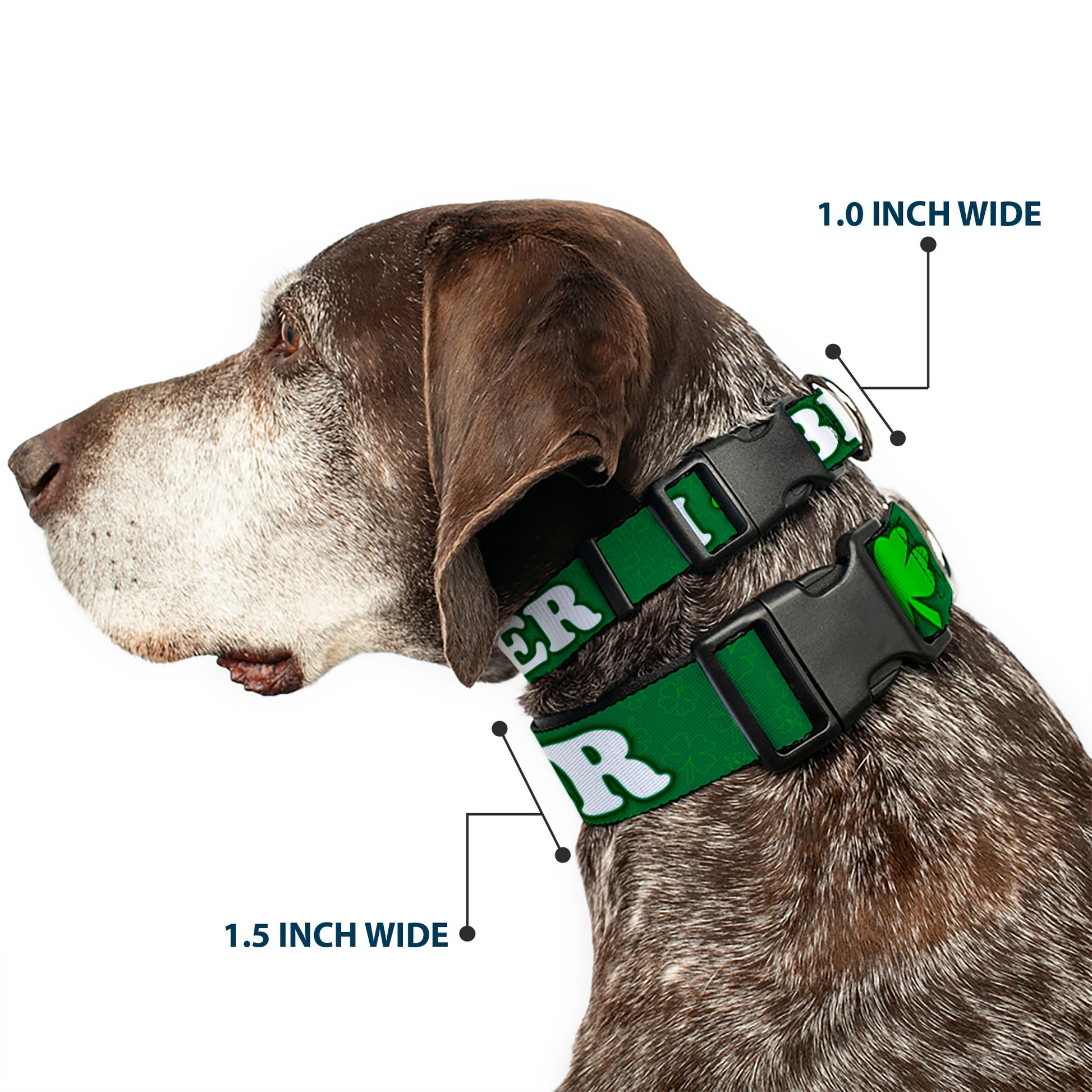Buckle-Down Plastic Buckle Dog Collar - I "Clover" BEER/Clover Outlines Greens/White Plastic Clip Collars Buckle-Down