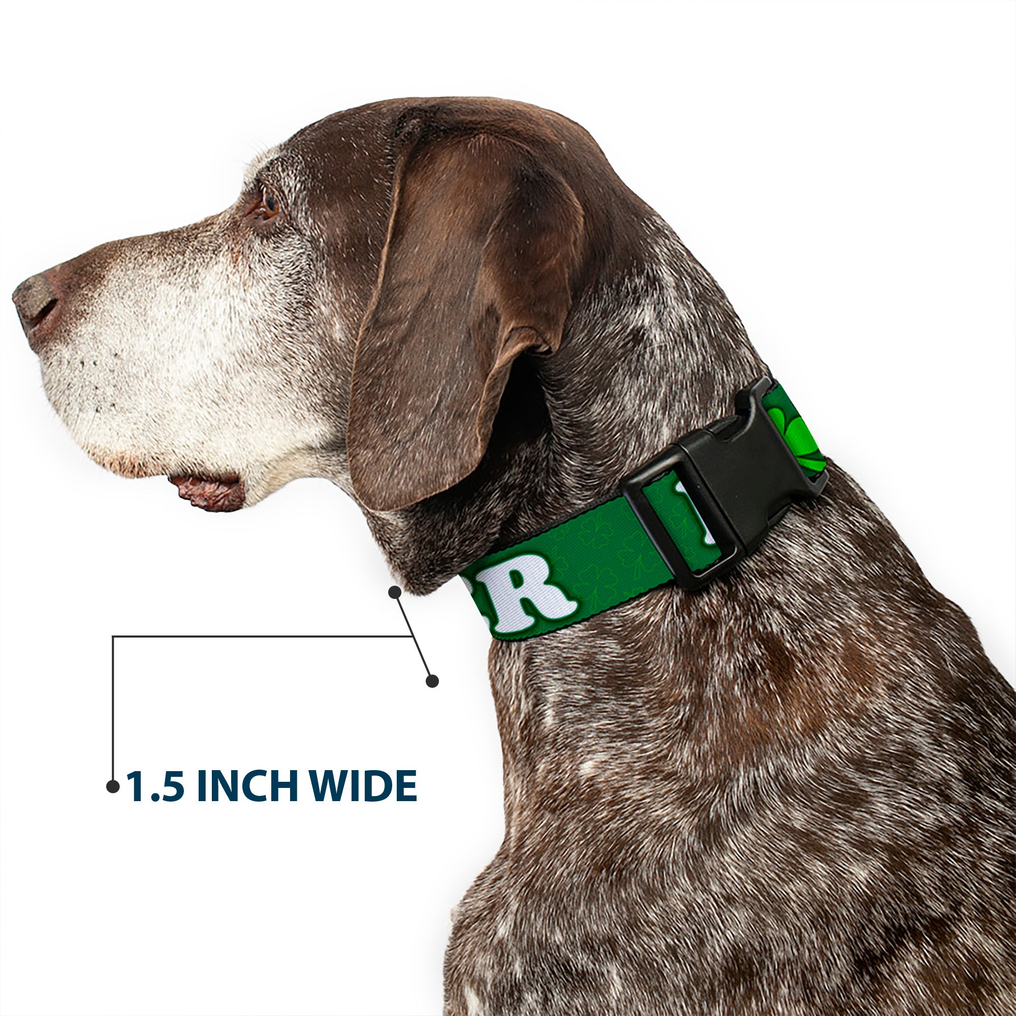 Buckle-Down Plastic Buckle Dog Collar - I "Clover" BEER/Clover Outlines Greens/White Plastic Clip Collars Buckle-Down
