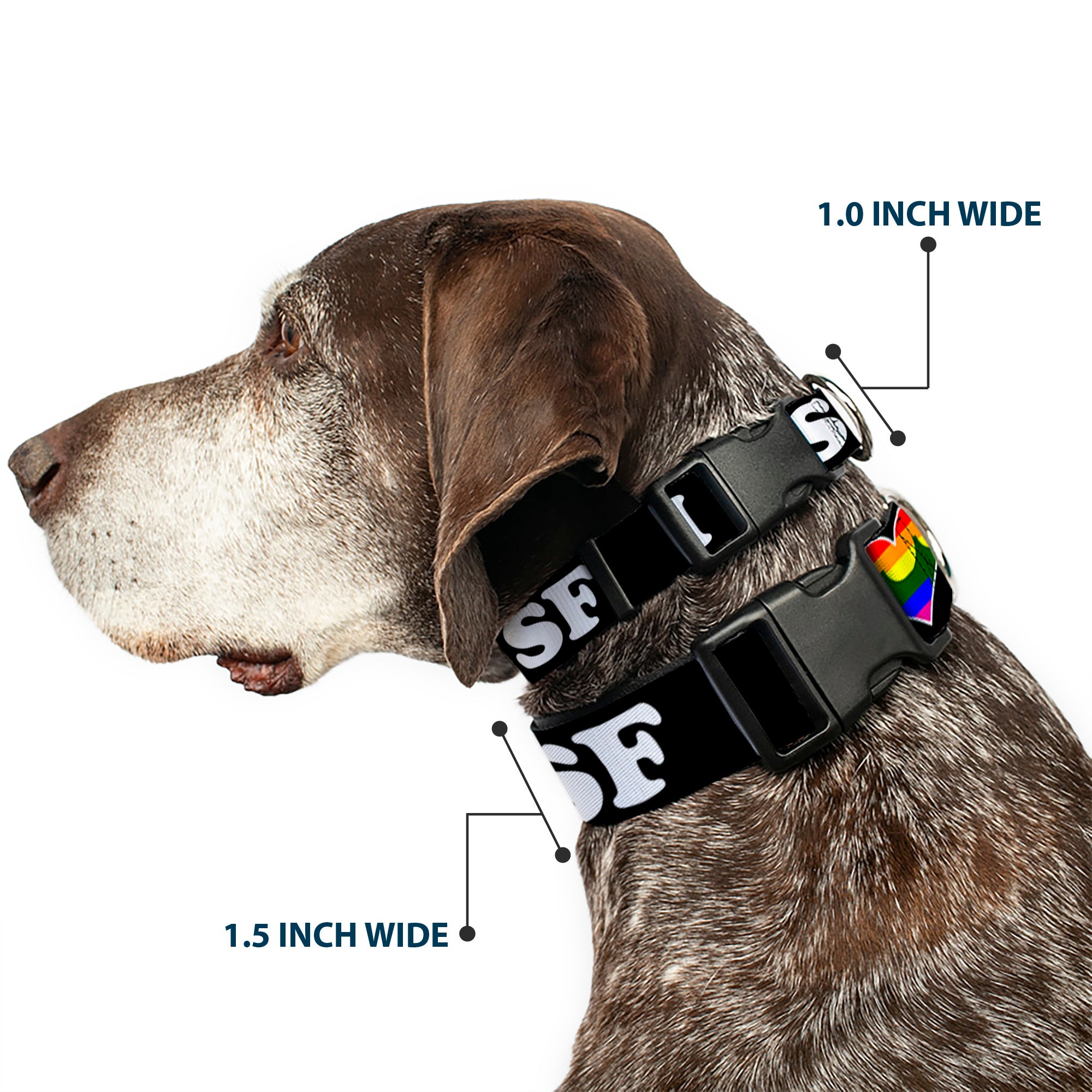 Plastic Clip Collar - I "HEART BRIDGE" SF Black/White/Rainbow Plastic Clip Collars Buckle-Down