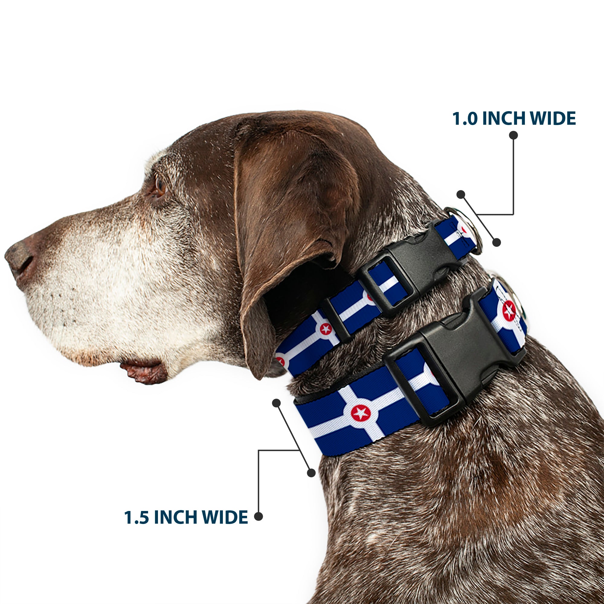 Plastic Clip Collar - Indianapolis Flag Navy Blue/White/Red Plastic Clip Collars Buckle-Down