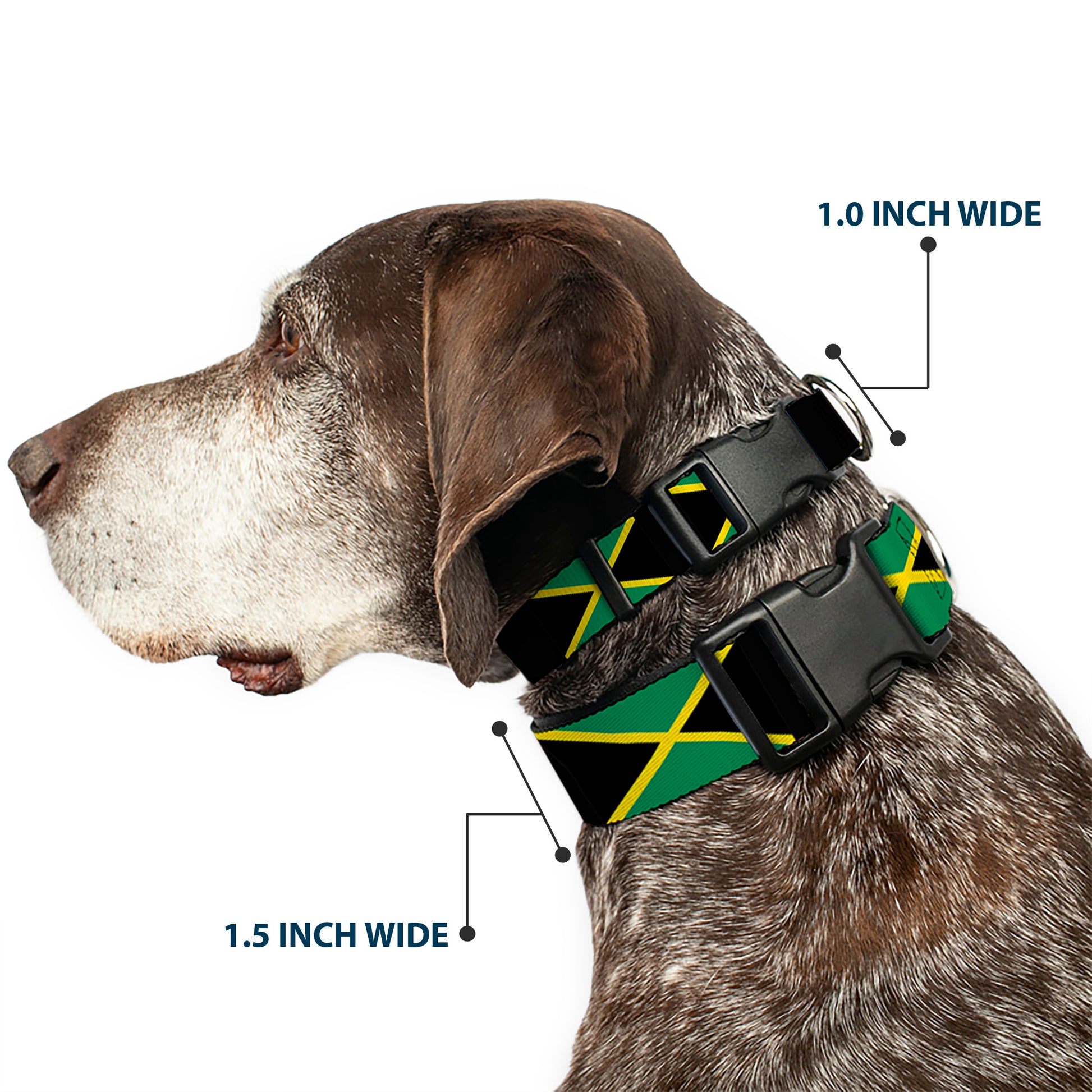 Plastic Clip Collar - Jamaica Flags Plastic Clip Collars Buckle-Down