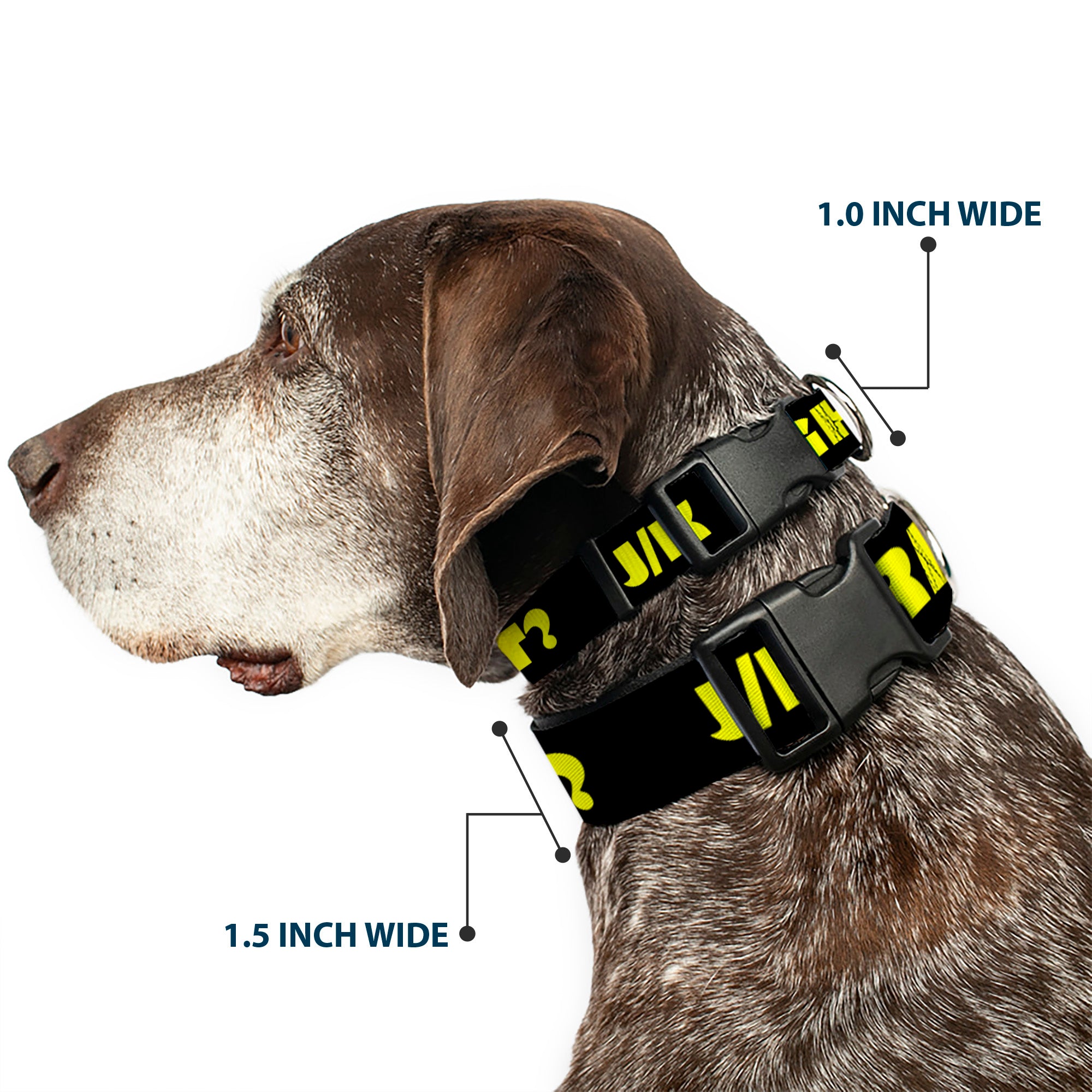 Plastic Clip Collar - J/K RIGHT? Black/Yellow Plastic Clip Collars Buckle-Down