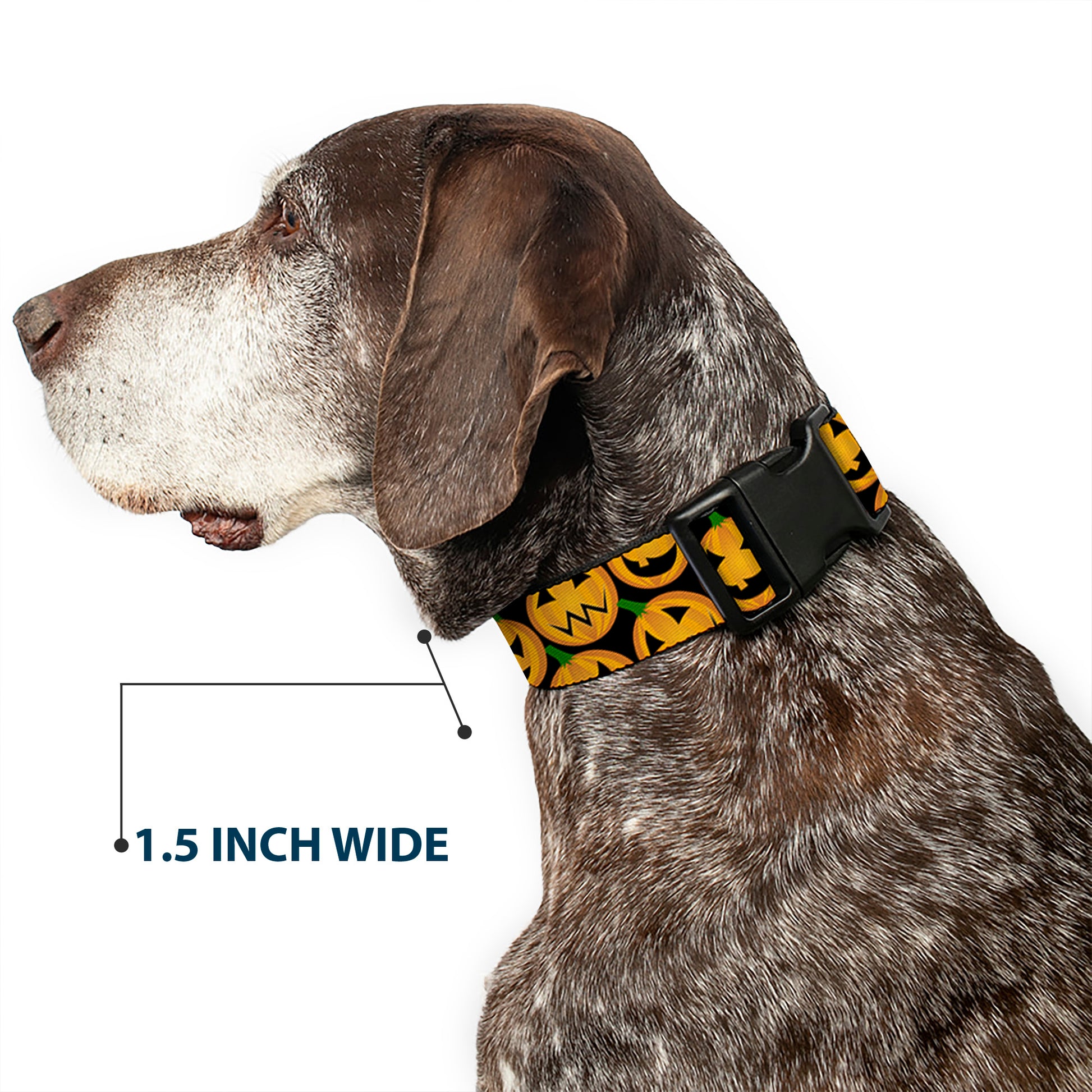 Plastic Clip Collar - Jack-o'-Lantern Collage Black Plastic Clip Collars Buckle-Down